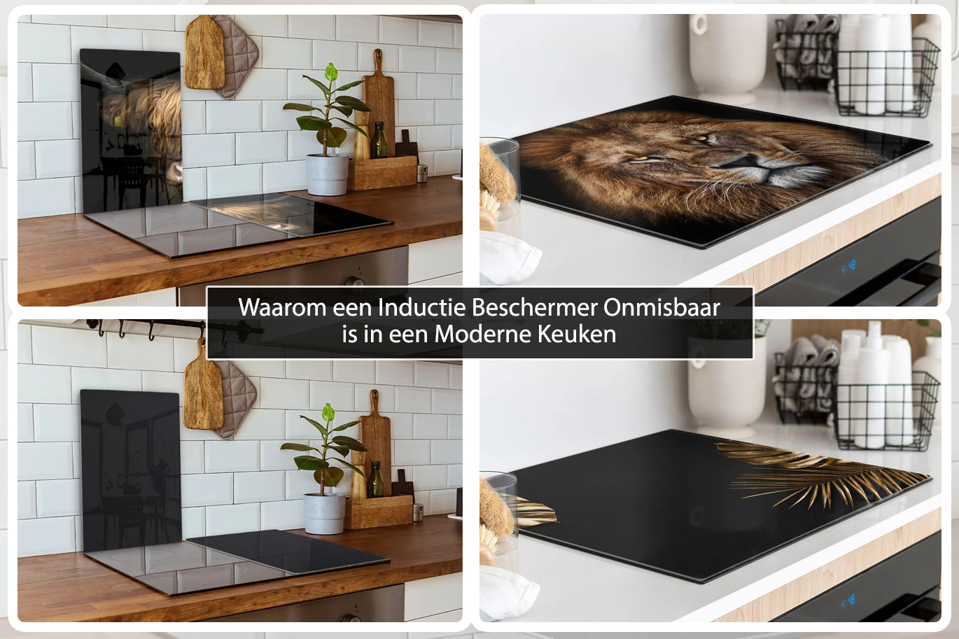 inductie beschermer
