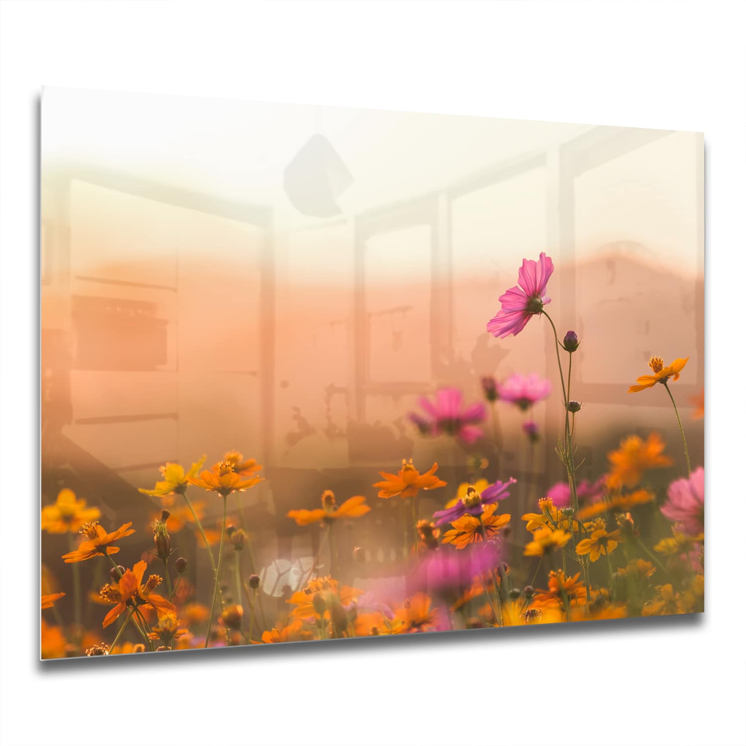 Eigen Afmeting - Spatscherm Keuken - Hittebestendig gehard glas - Kleurrijke Bloemen bij Zonsondergang