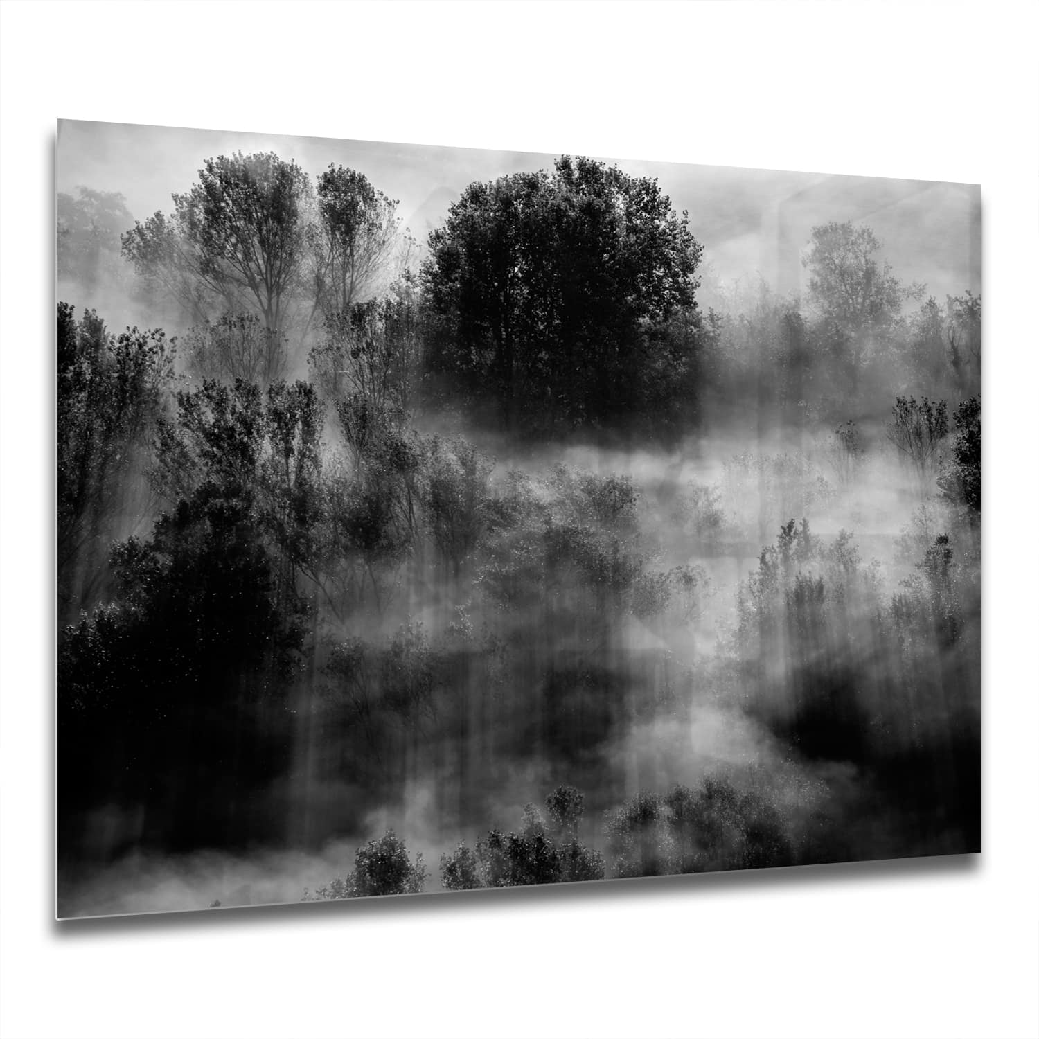 Eigen Afmeting - Spatscherm Keuken - Hittebestendig gehard glas - Bomen in de Mist