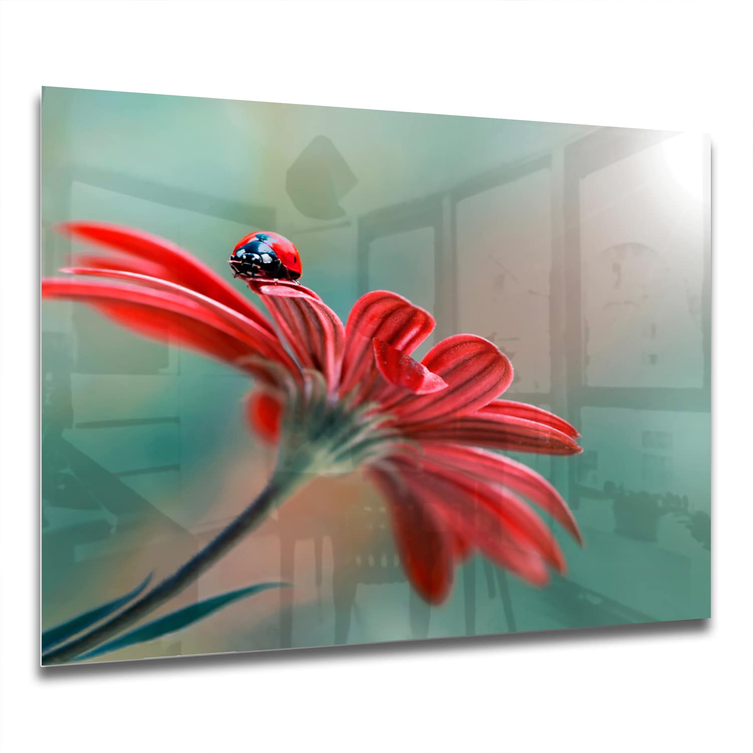 Eigen Afmeting - Spatscherm Keuken - Hittebestendig gehard glas - Lieveheersbeestje op Rode Bloem