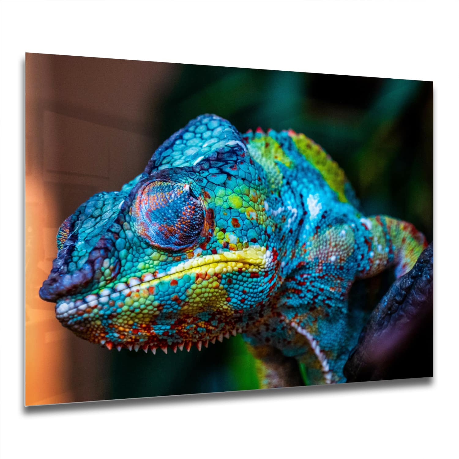 Eigen Afmeting - Spatscherm Keuken - Hittebestendig gehard glas - Gekleurde Kameleon