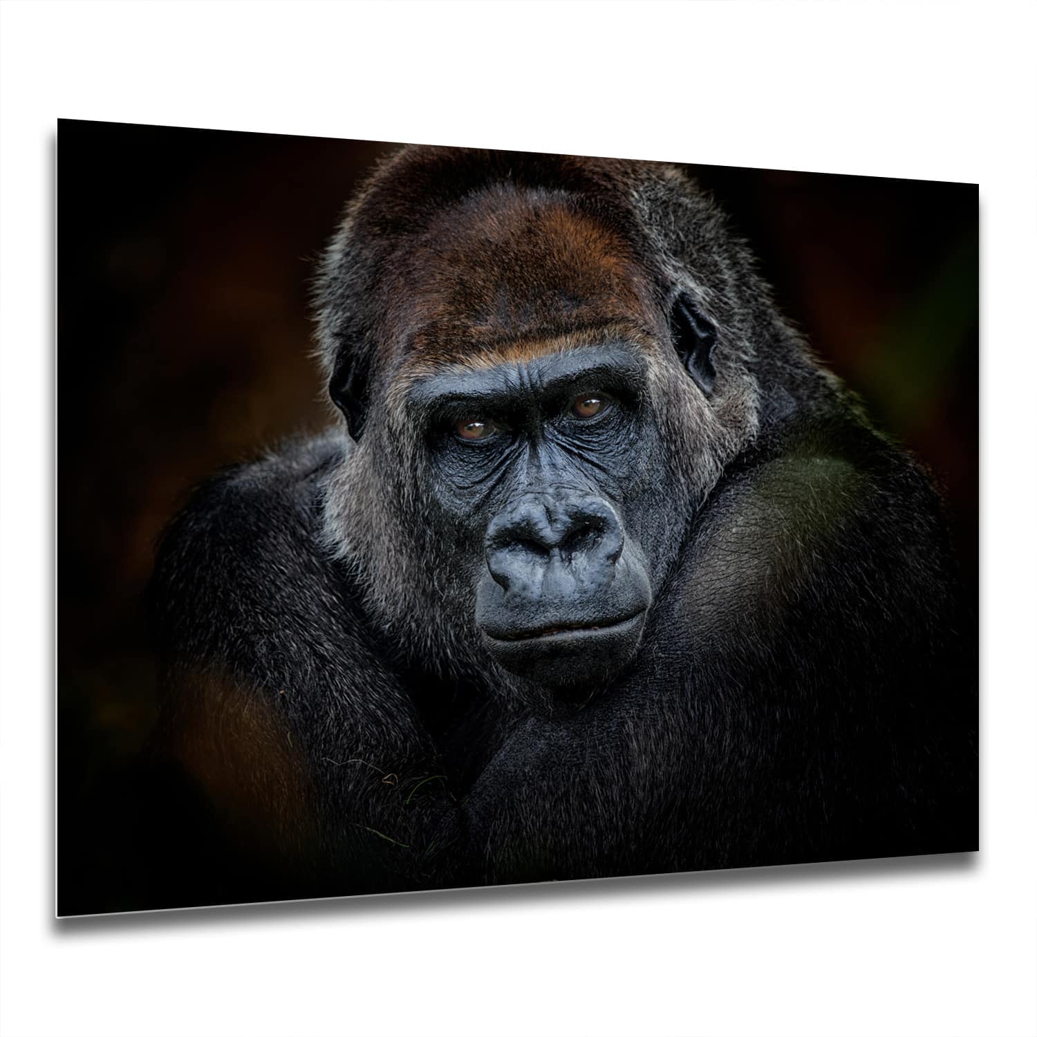 Eigen Afmeting - Spatscherm Keuken - Hittebestendig gehard glas - Gorilla