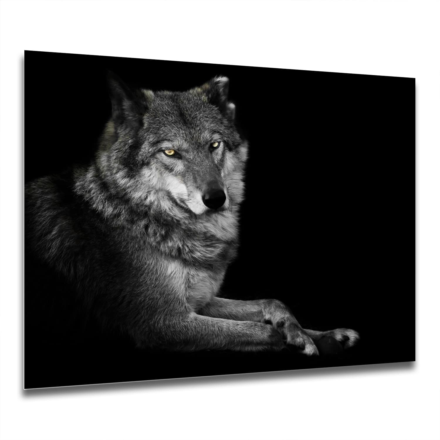 Eigen Afmeting - Spatscherm Keuken - Hittebestendig gehard glas - Vrouwelijke Wolf