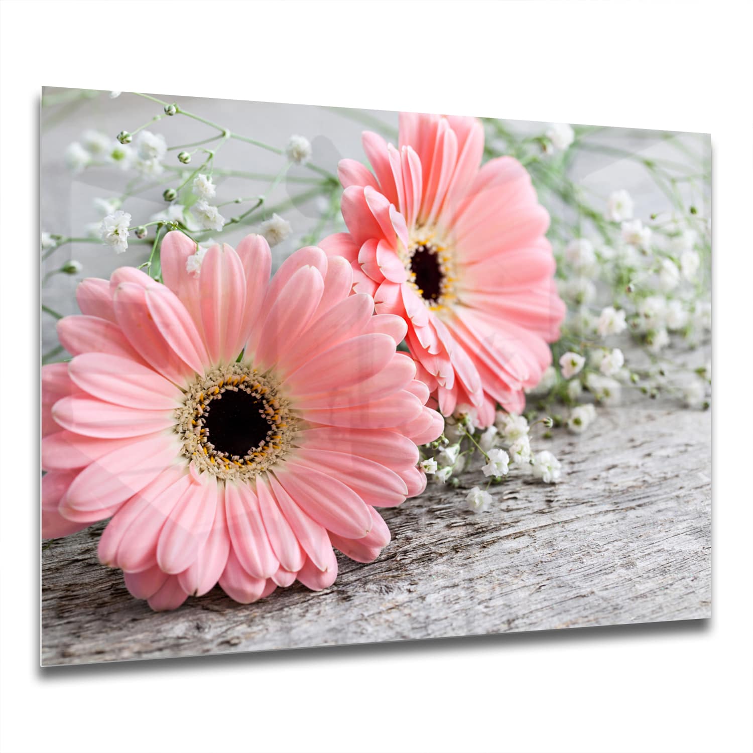 Eigen Afmeting - Spatscherm Keuken - Hittebestendig gehard glas - Roze Gerbera