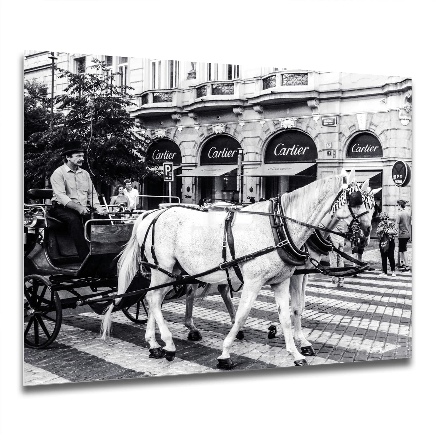 Eigen Afmeting - Spatscherm Keuken - Hittebestendig gehard glas - Paard en Wagen voor Cartier Winkel