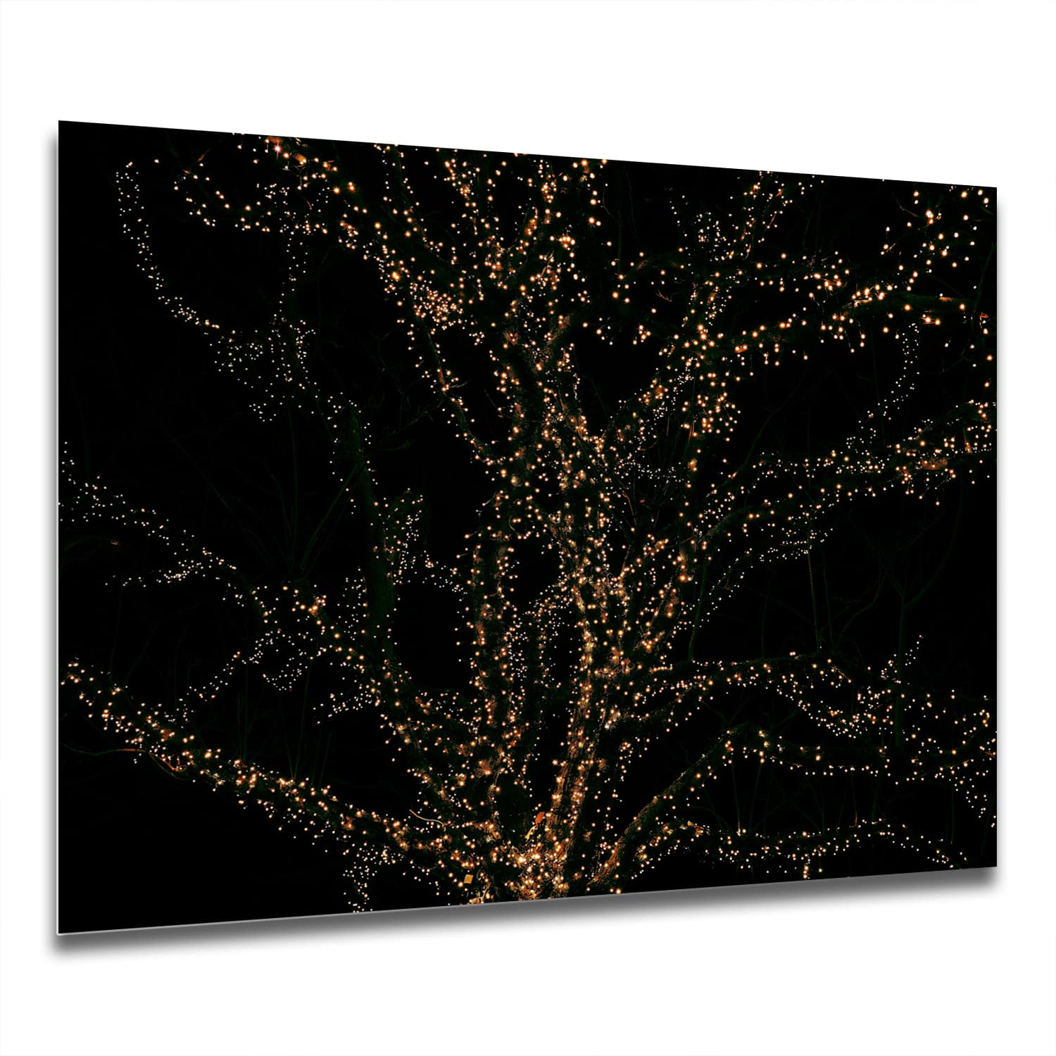 Eigen Afmeting - Spatscherm Keuken - Hittebestendig gehard glas - Gouden Lichtjes Boom