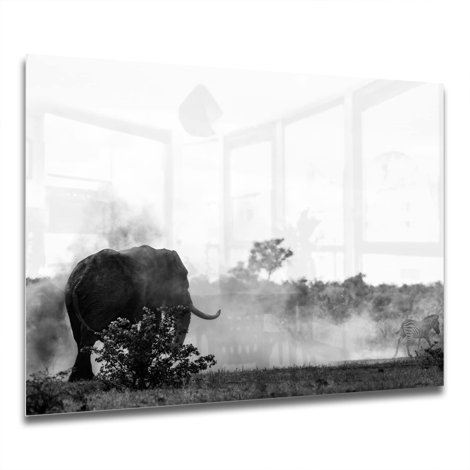 Eigen Afmeting - Spatscherm Keuken - Hittebestendig gehard glas - Olifant in Zwart-Wit