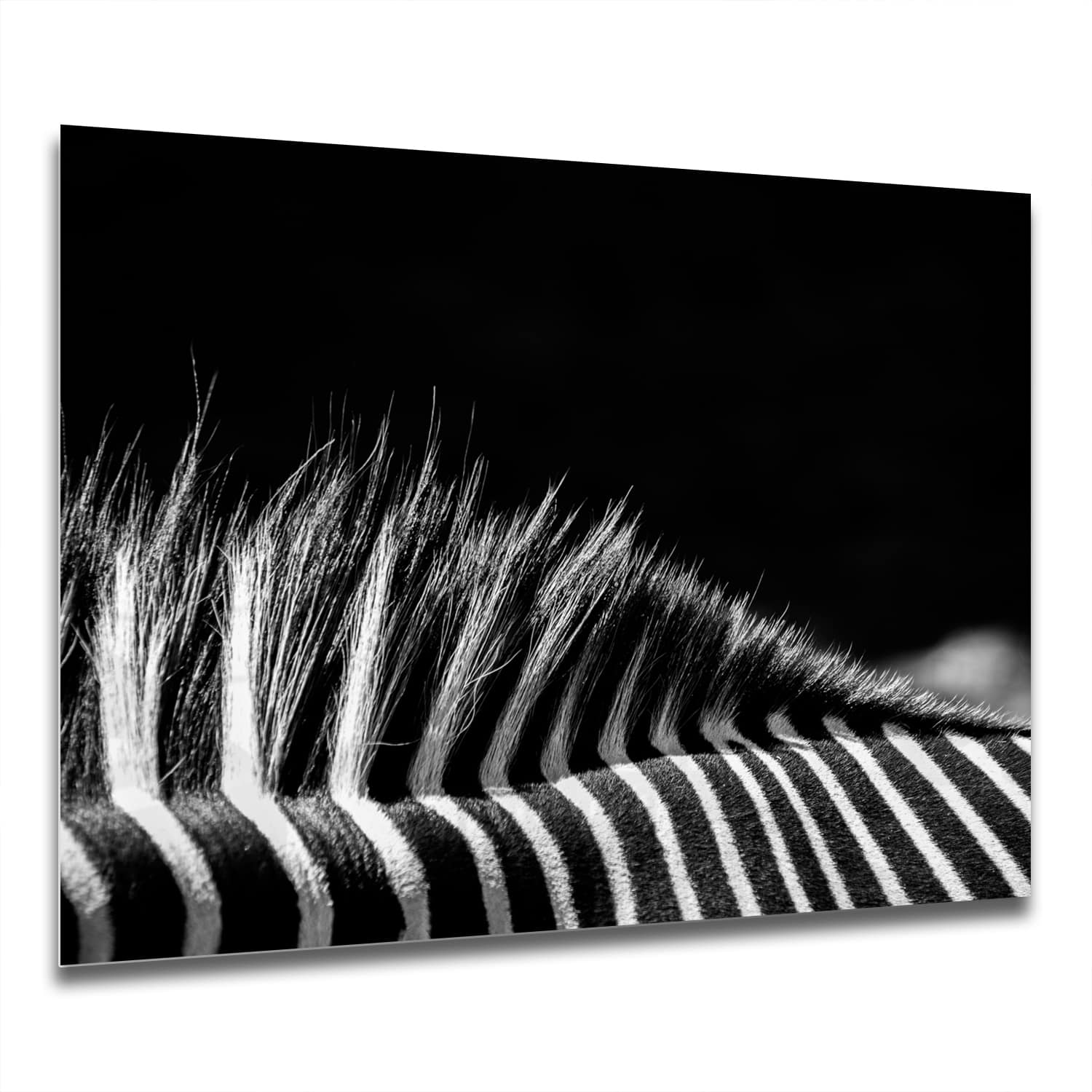 Eigen Afmeting - Spatscherm Keuken - Hittebestendig gehard glas - Zwart-Wit Zebra
