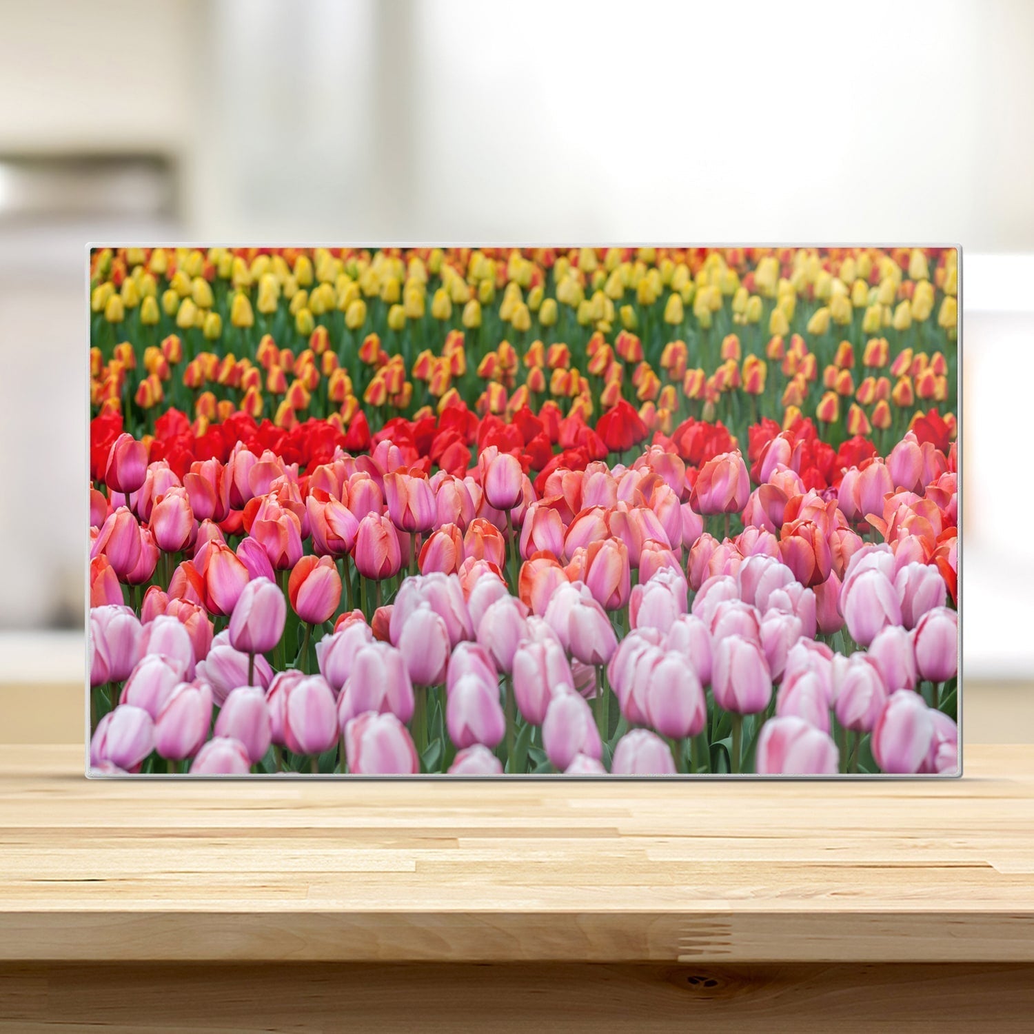 Snijplank - Gehard Glas - Tulpenveld in Lisse