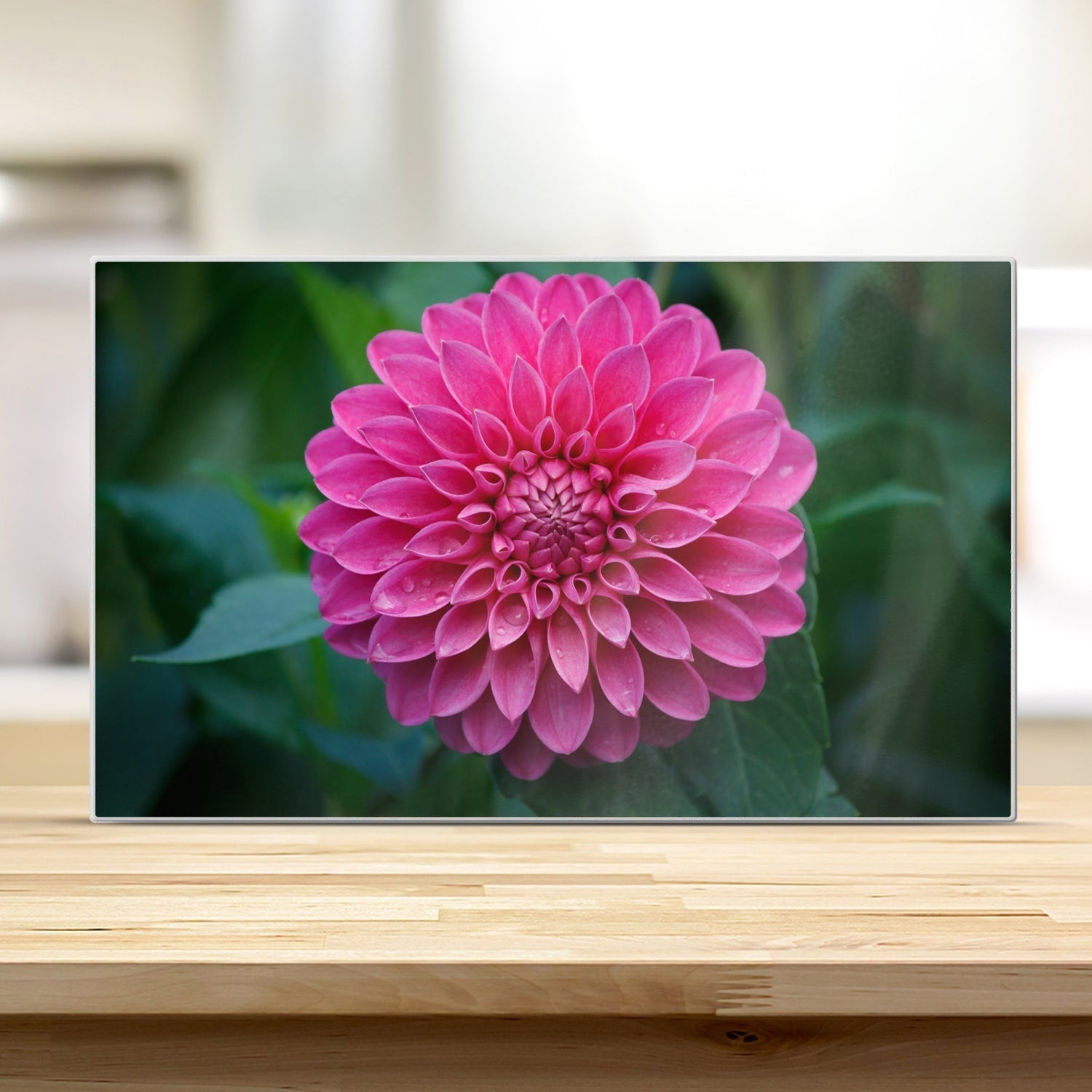 Snijplank - Gehard Glas - Roze Dahlia