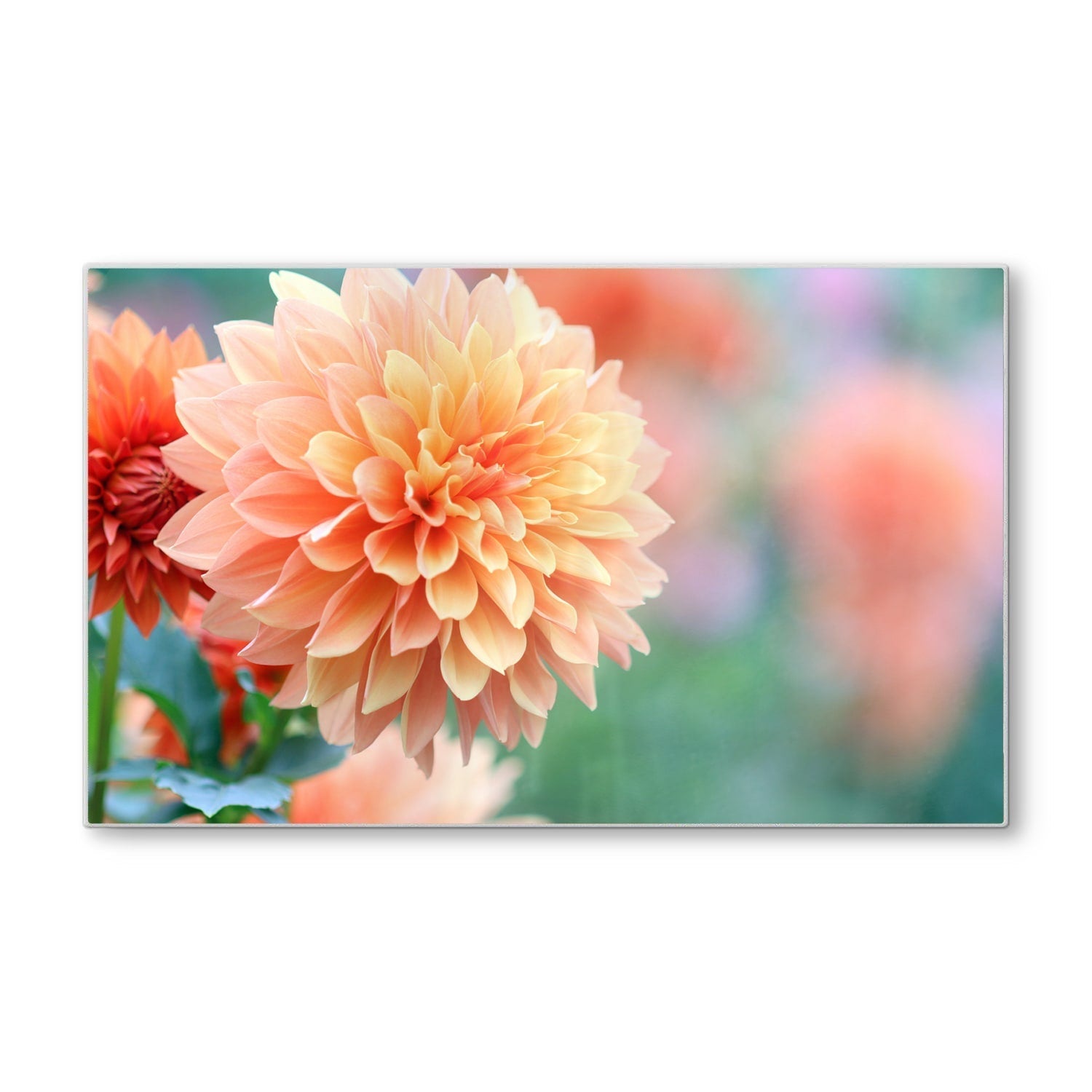 Snijplank - Gehard Glas - Roze/Gele Dahlia