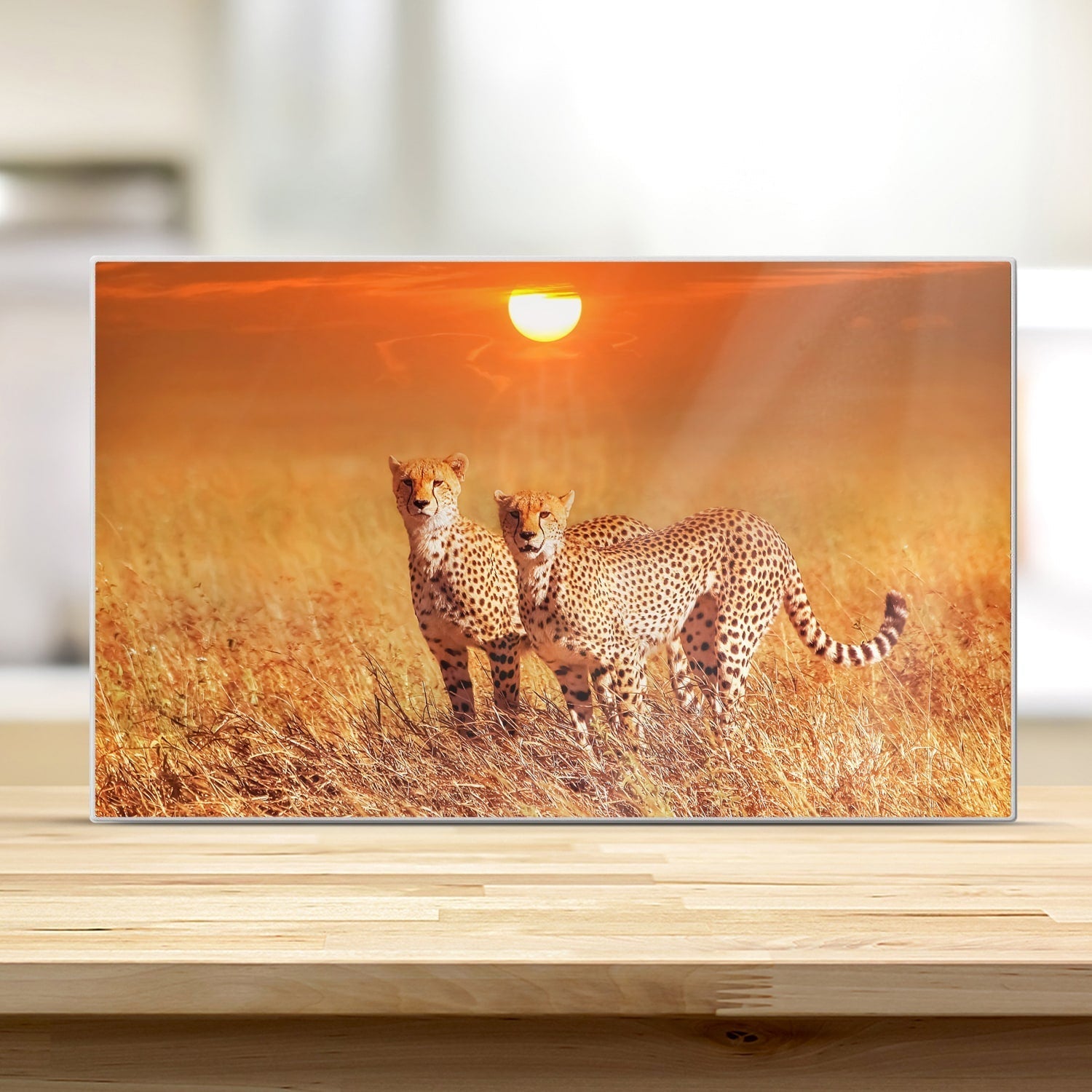 Snijplank - Gehard Glas - Twee Cheetahs