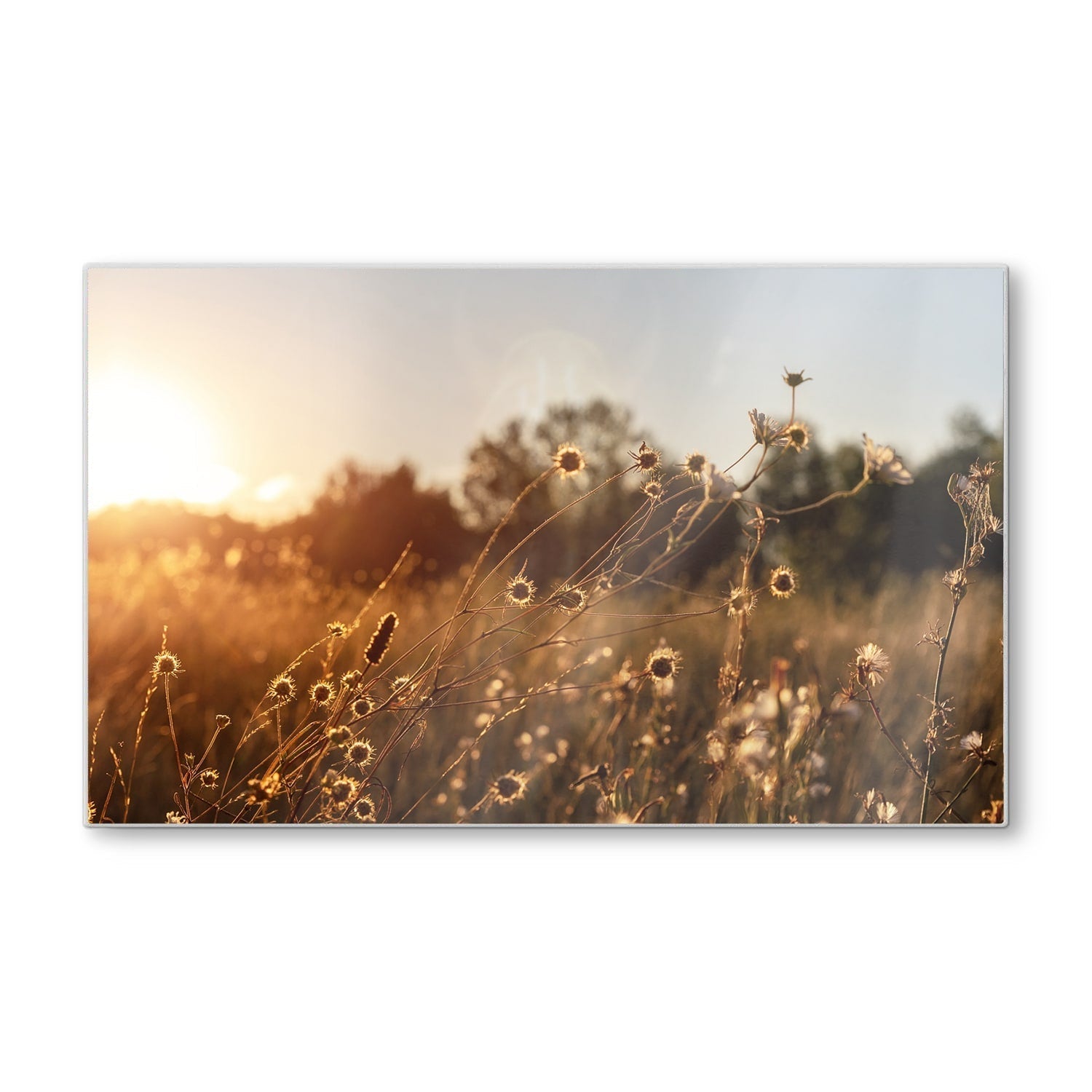 Snijplank - Gehard Glas - Zonsondergang in de Weide