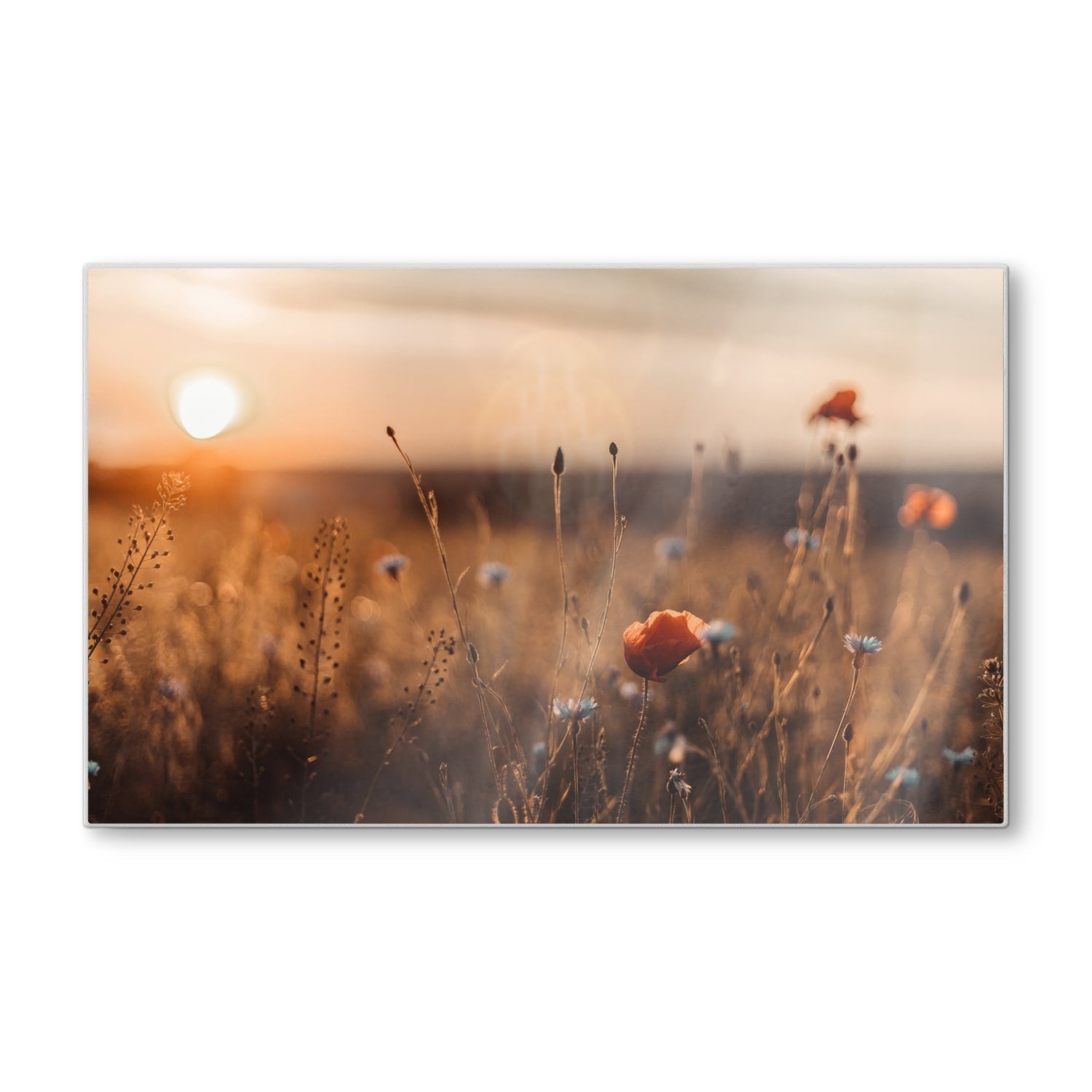 Snijplank - Gehard Glas - Klaprozen in het veld