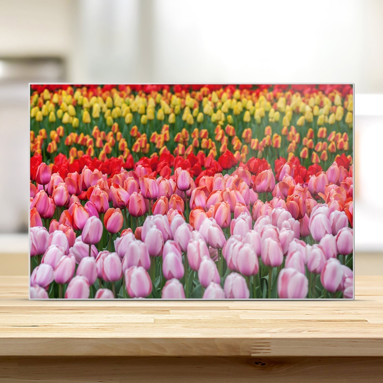 Snijplank - Gehard Glas - Tulpenveld in Lisse