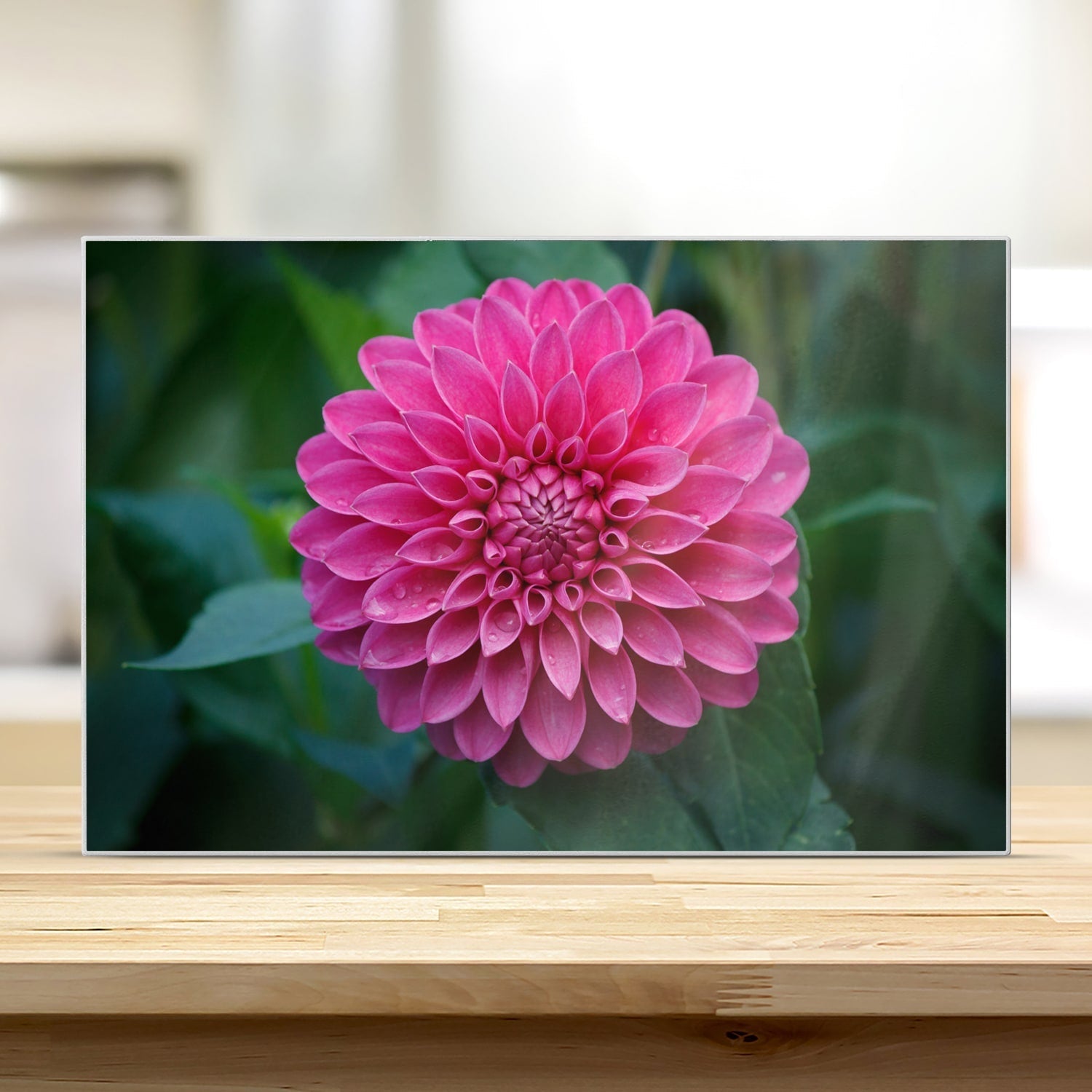 Snijplank - Gehard Glas - Roze Dahlia