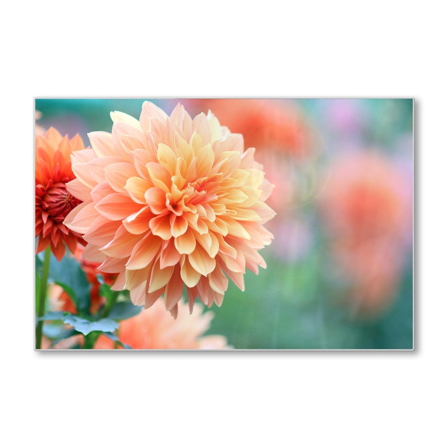 Snijplank - Gehard Glas - Roze/Gele Dahlia