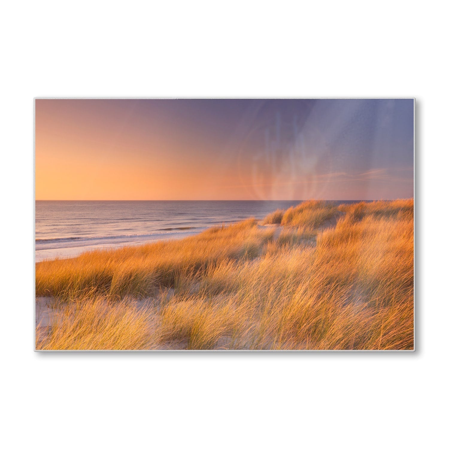 Snijplank - Gehard Glas - Duinen op Texel