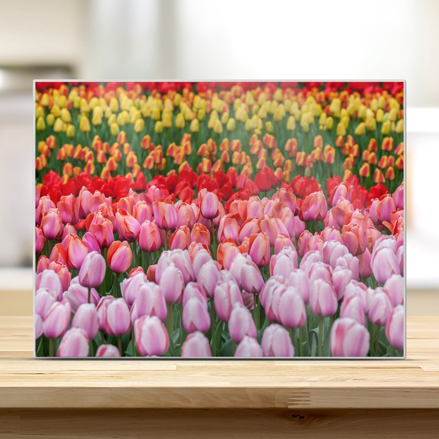 Snijplank - Gehard Glas - Tulpenveld in Lisse