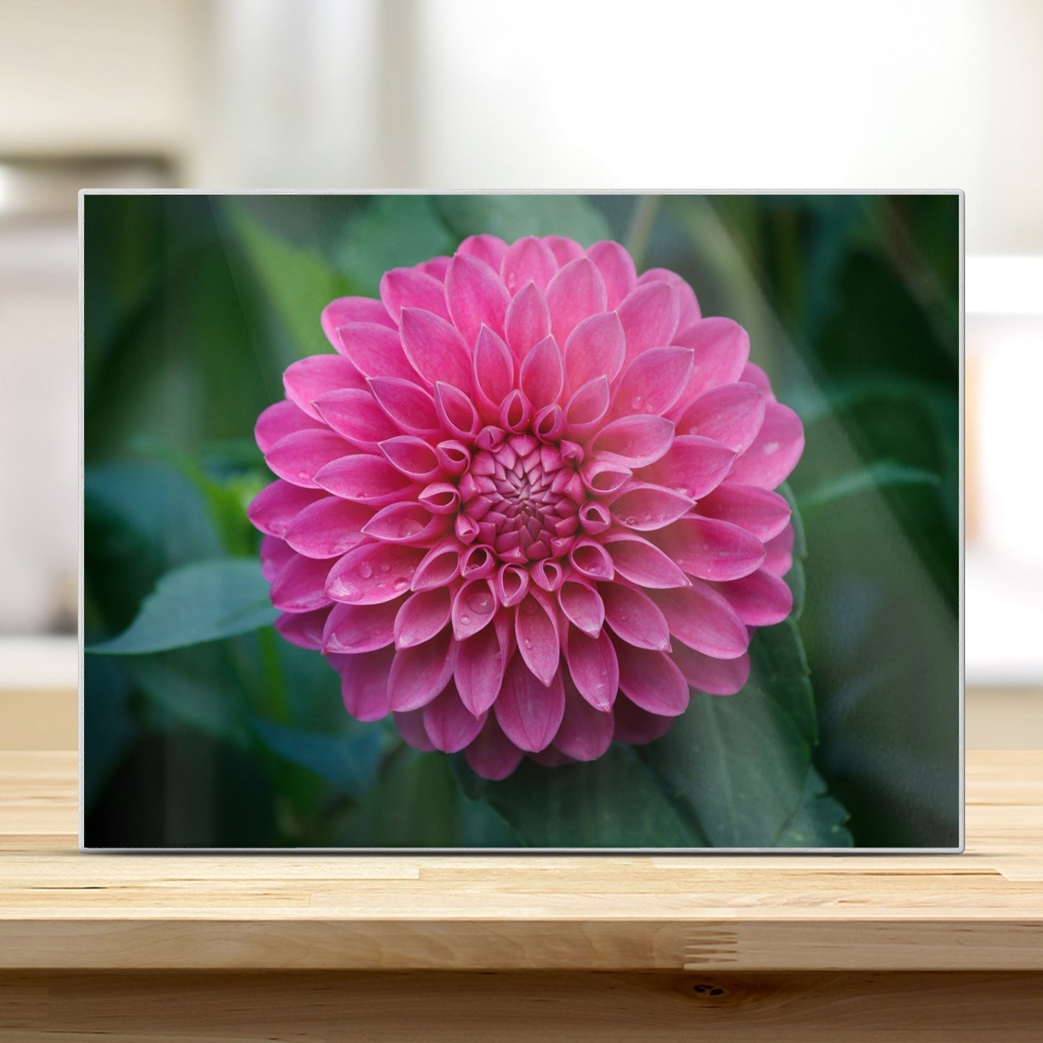 Snijplank - Gehard Glas - Roze Dahlia