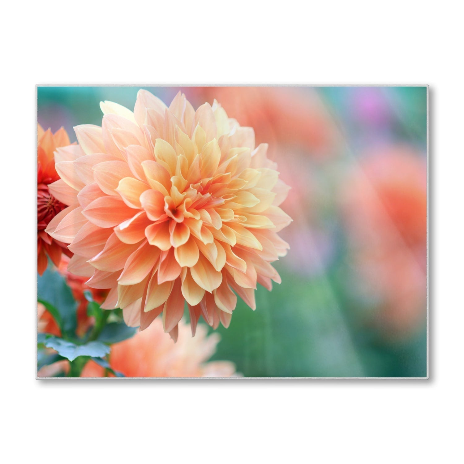 Snijplank - Gehard Glas - Roze/Gele Dahlia