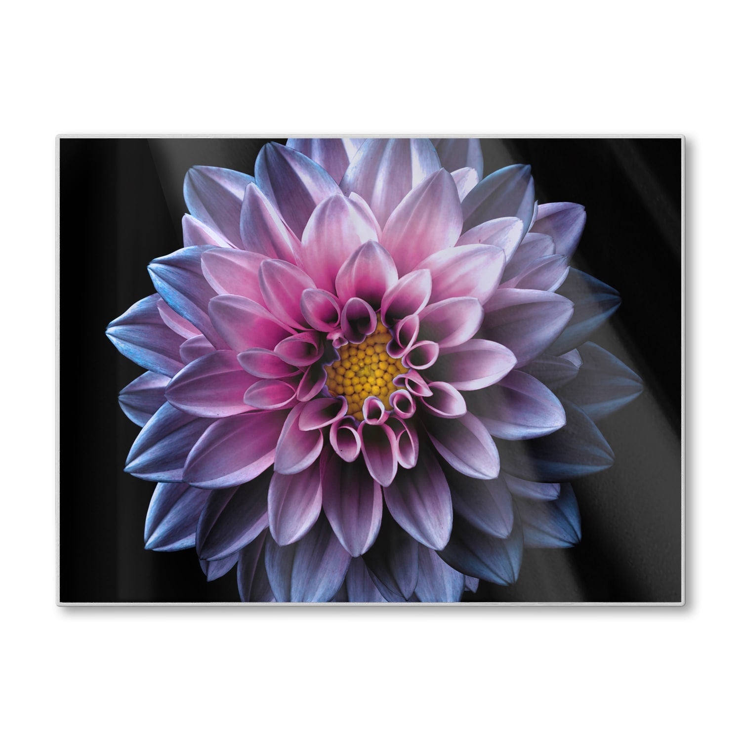 Snijplank - Gehard Glas - Blauw/Roze Dahlia