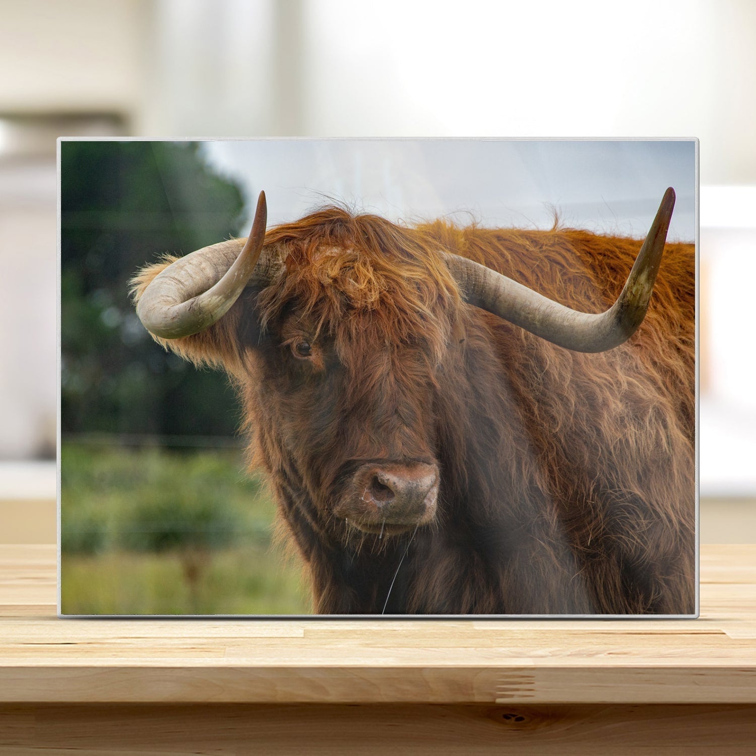 Snijplank - Gehard Glas - Schotse Hooglander in de Natuur