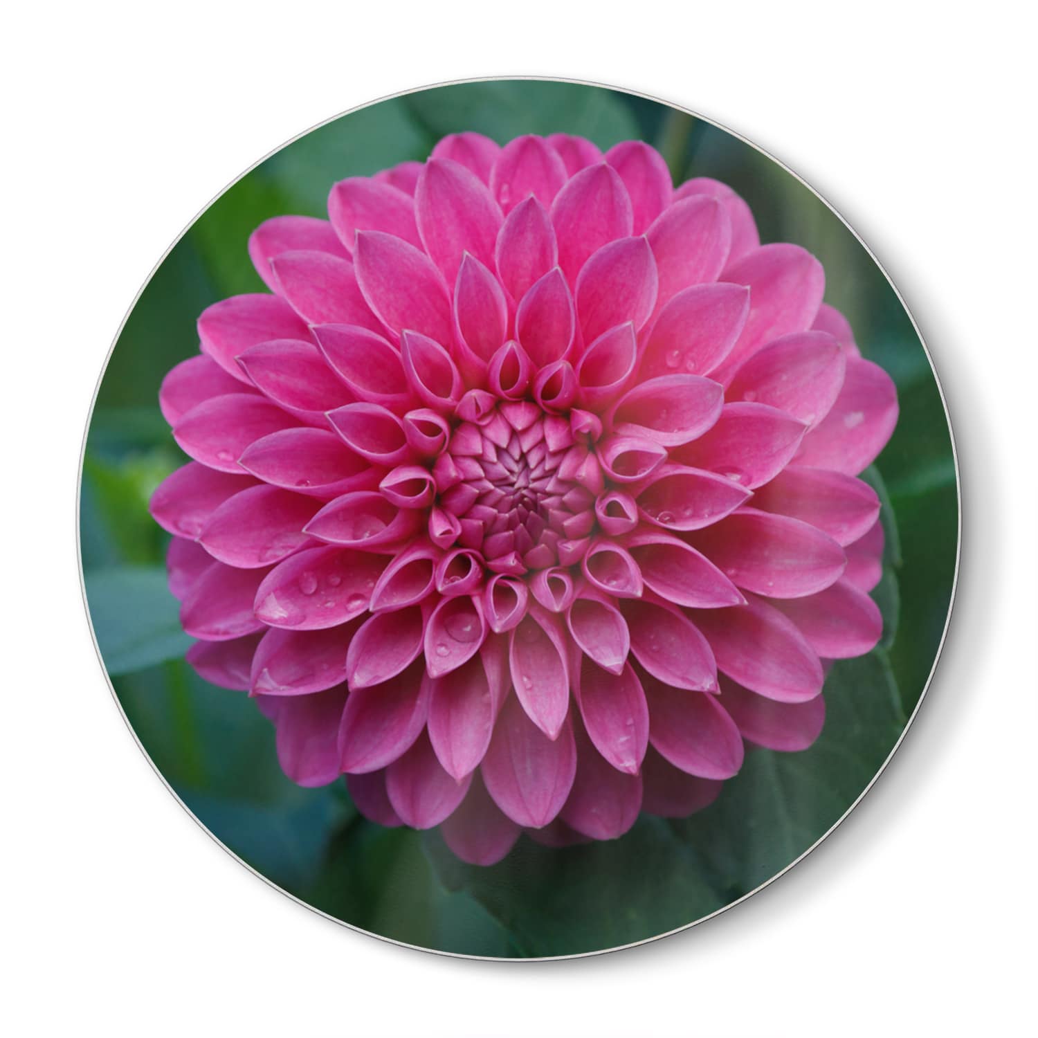 Snijplank Rond - Gehard Glas - Roze Dahlia