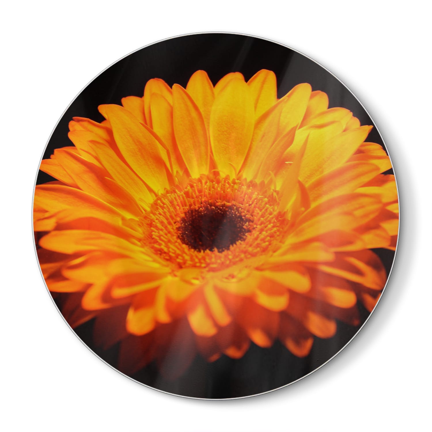 Snijplank Rond - Gehard Glas - Gerbera Jamesonii