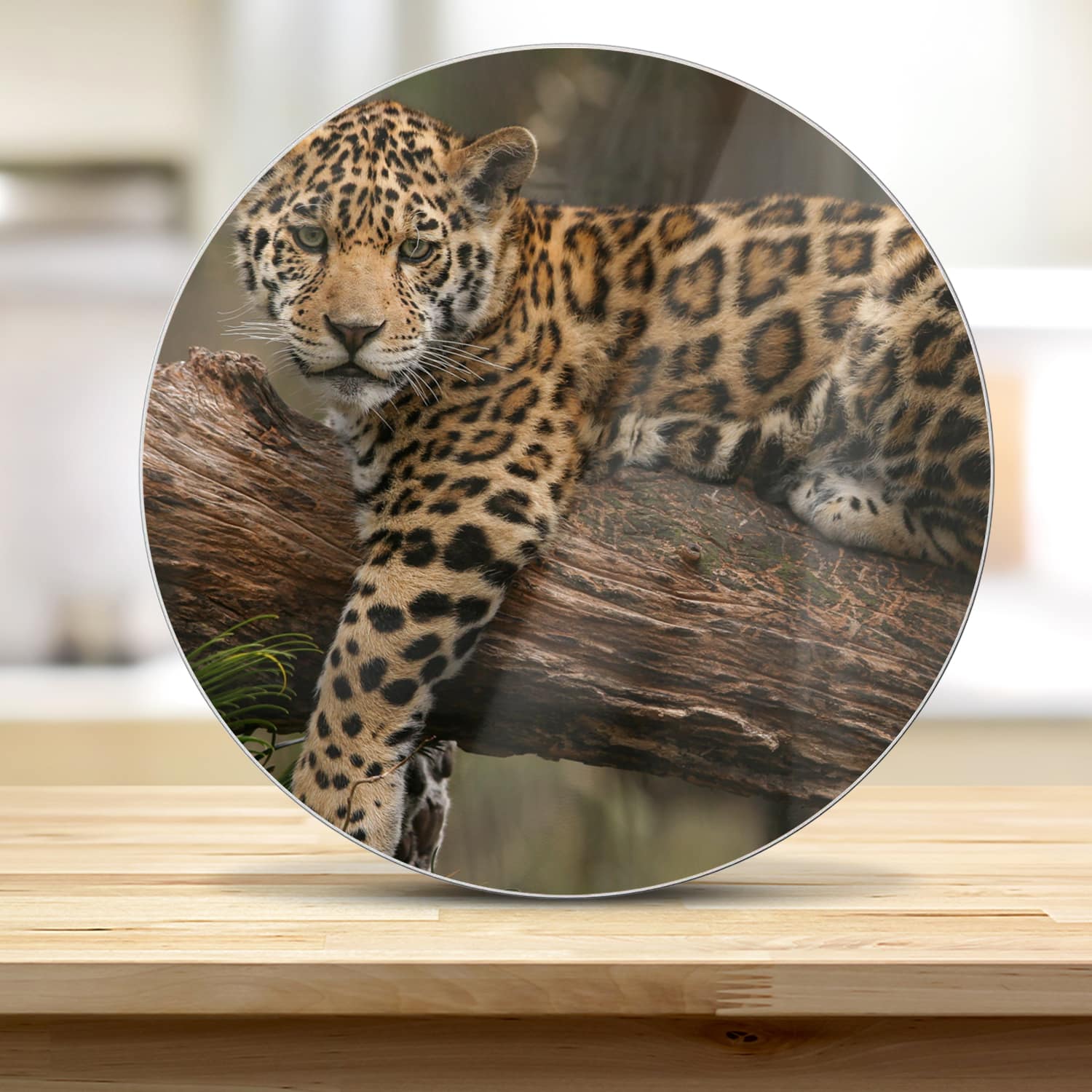 Snijplank Rond - Gehard Glas - Jaguar in de Boom