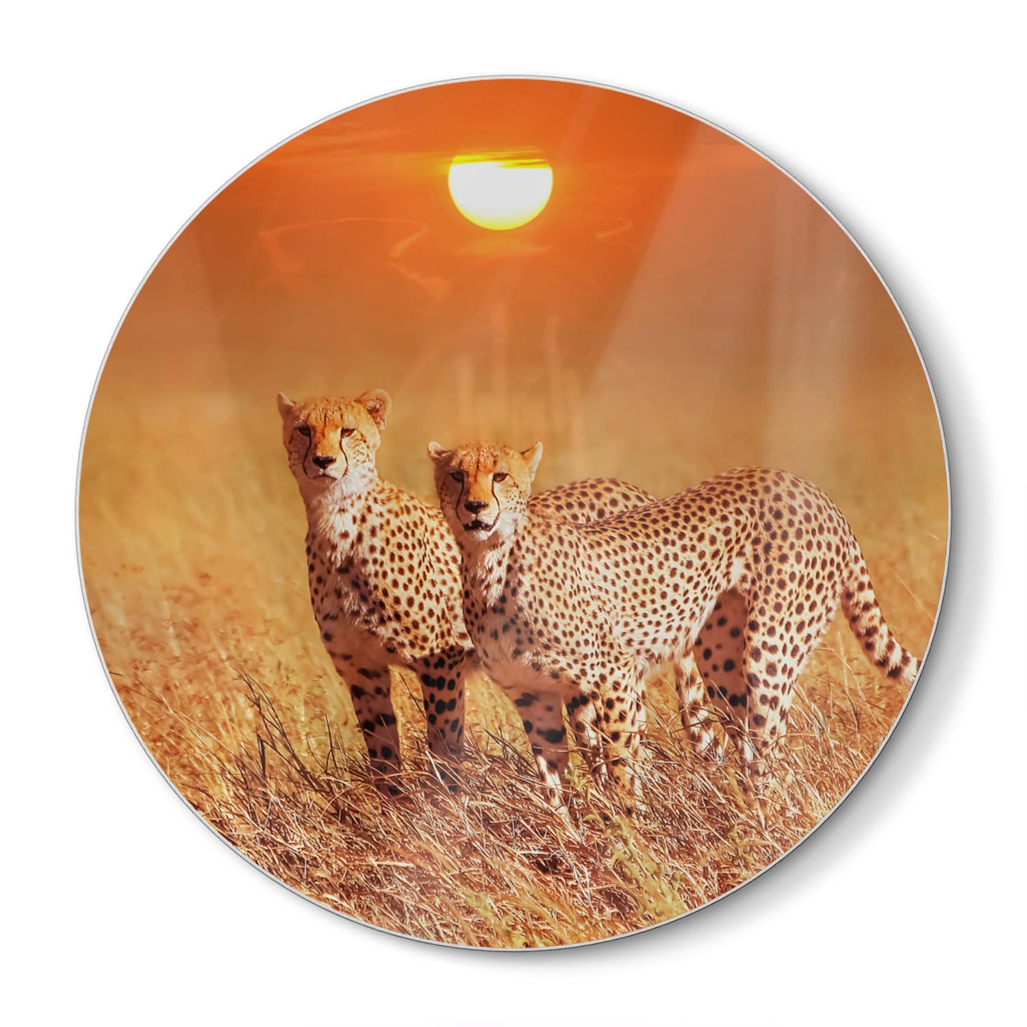 Snijplank Rond - Gehard Glas - Twee Cheetahs