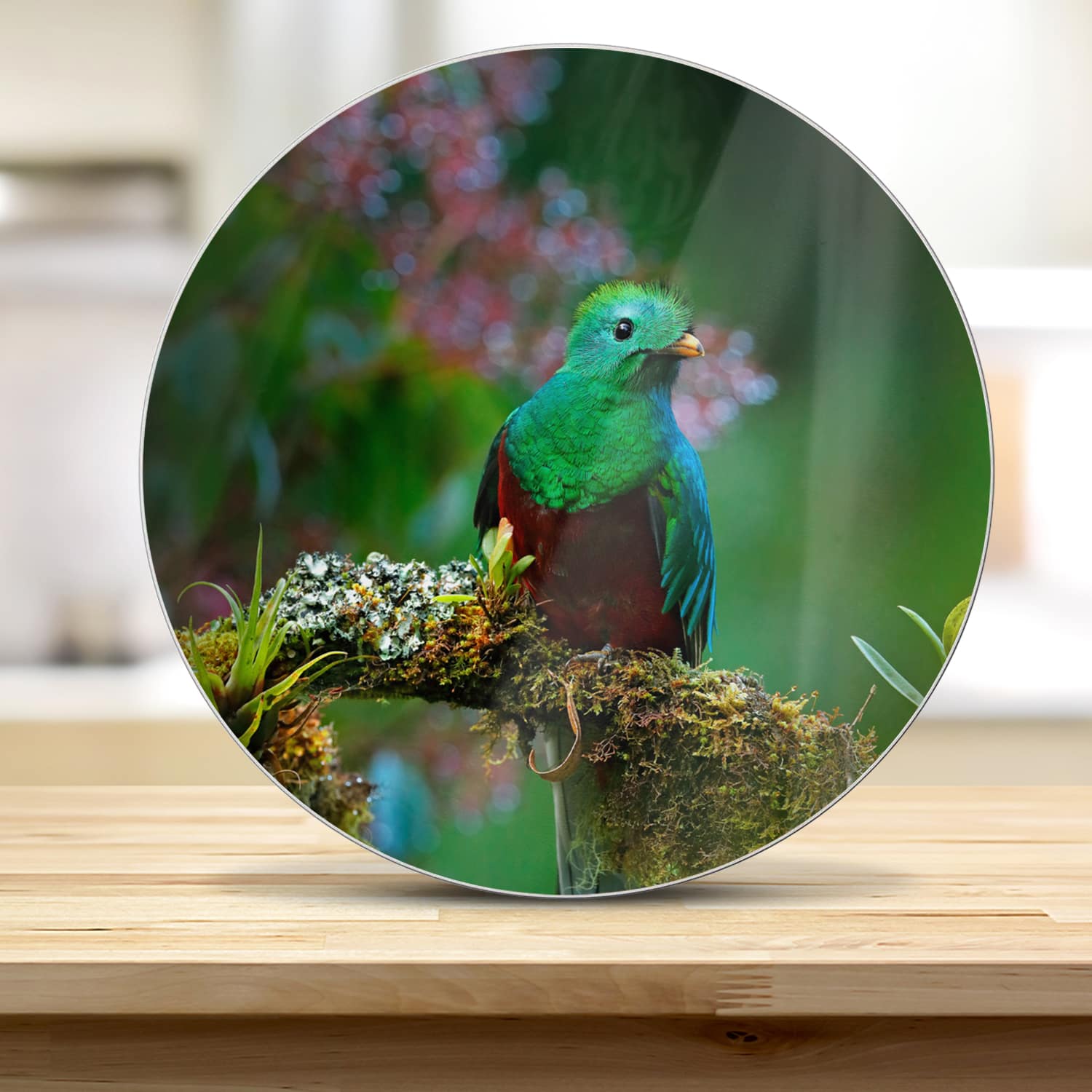 Snijplank Rond - Gehard Glas - Quetzal Vogel