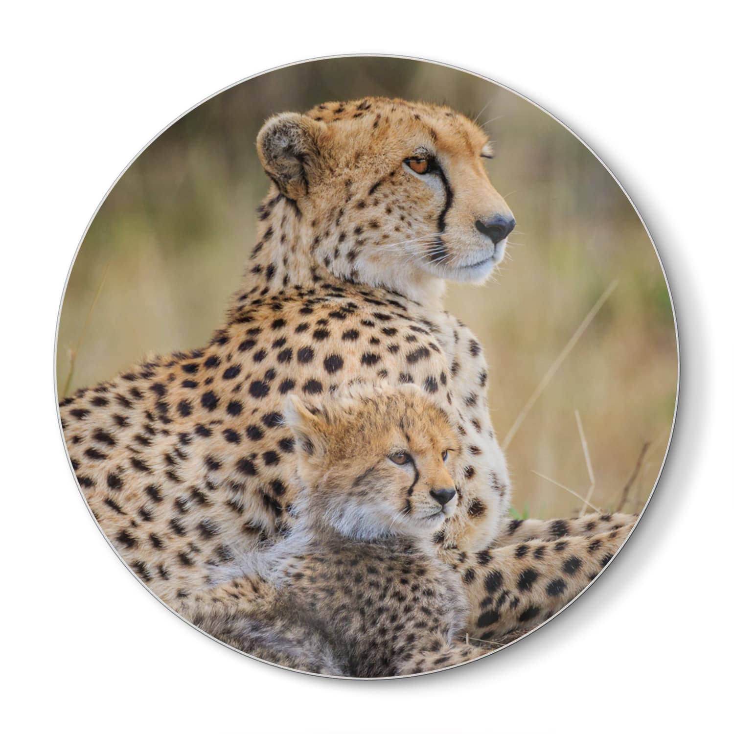 Snijplank Rond - Gehard Glas - Cheetah met Pup