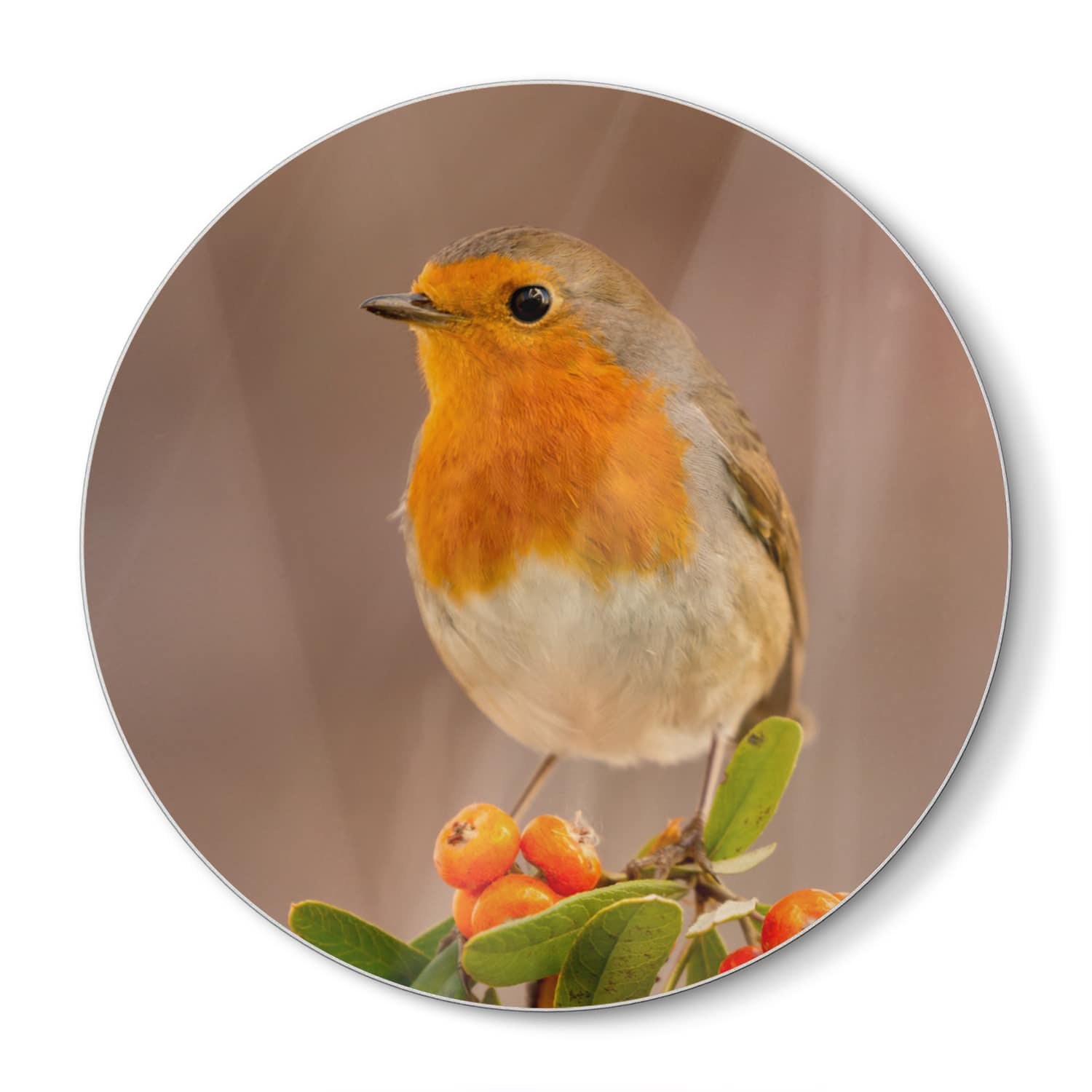 Snijplank Rond - Gehard Glas - Roodborst Vogel