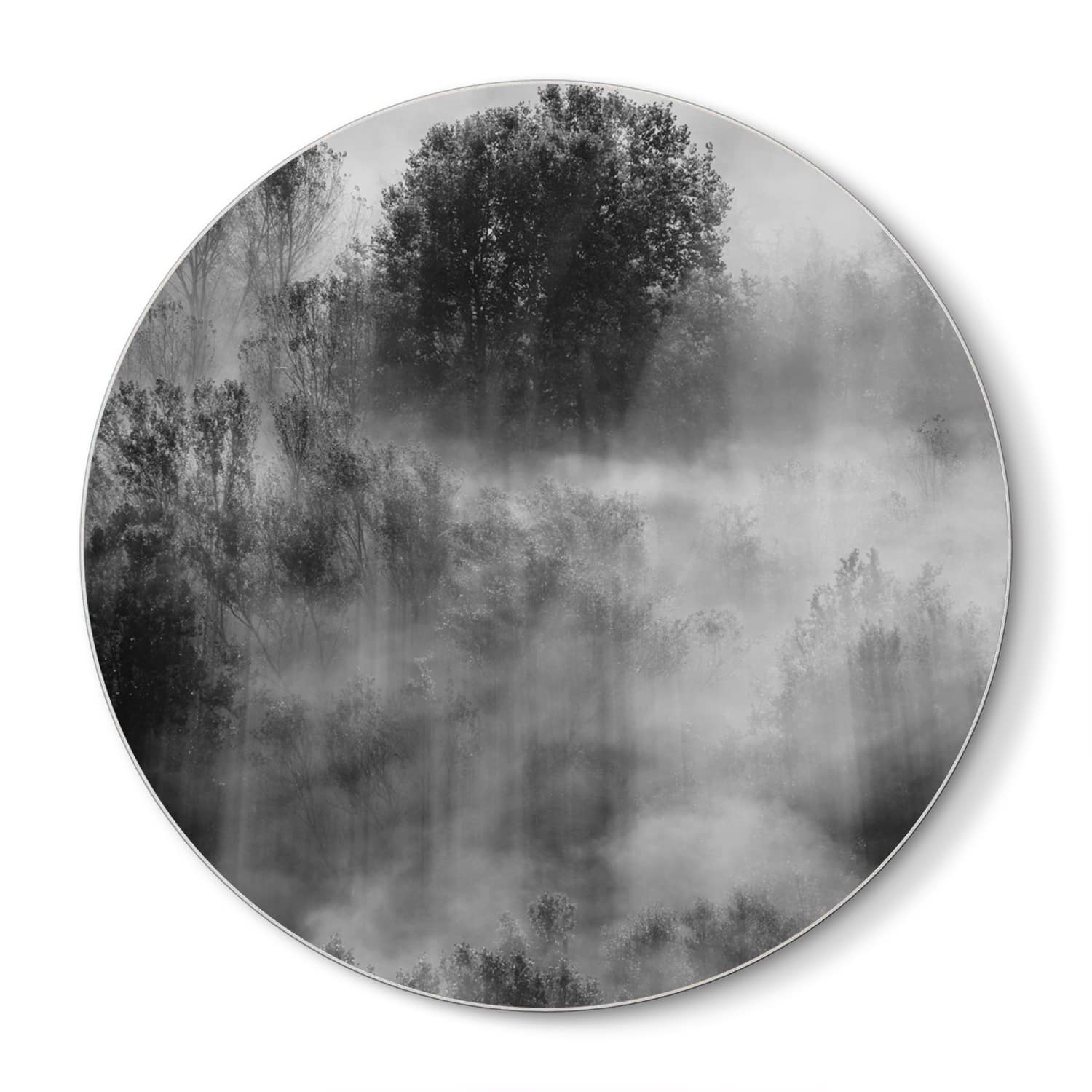 Snijplank Rond - Gehard Glas - Bomen in de Mist