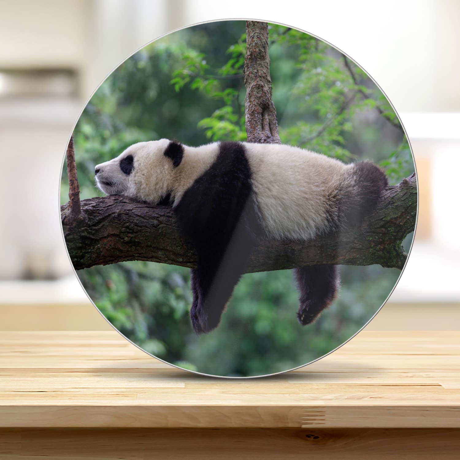 Snijplank Rond - Gehard Glas - Panda