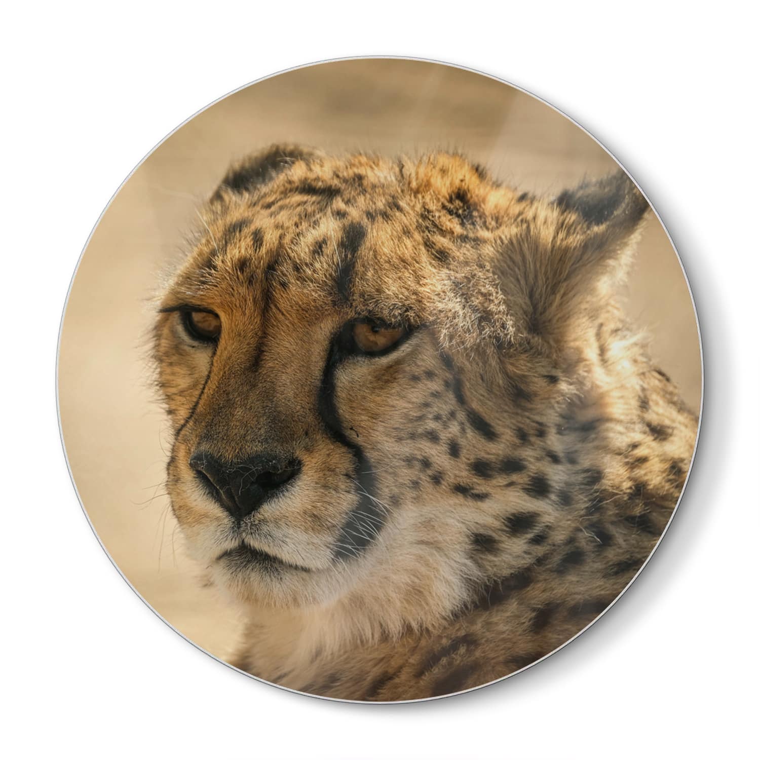 Snijplank Rond - Gehard Glas - Cheetah Close-up