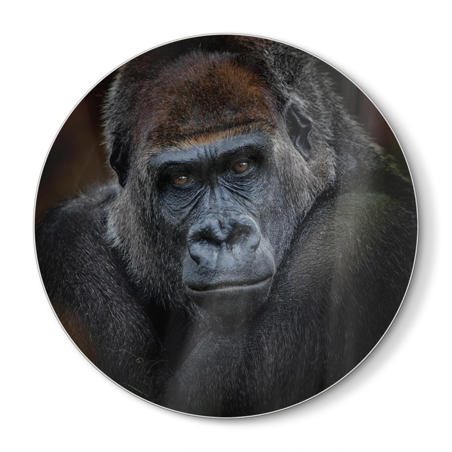 Snijplank Rond - Gehard Glas - Gorilla