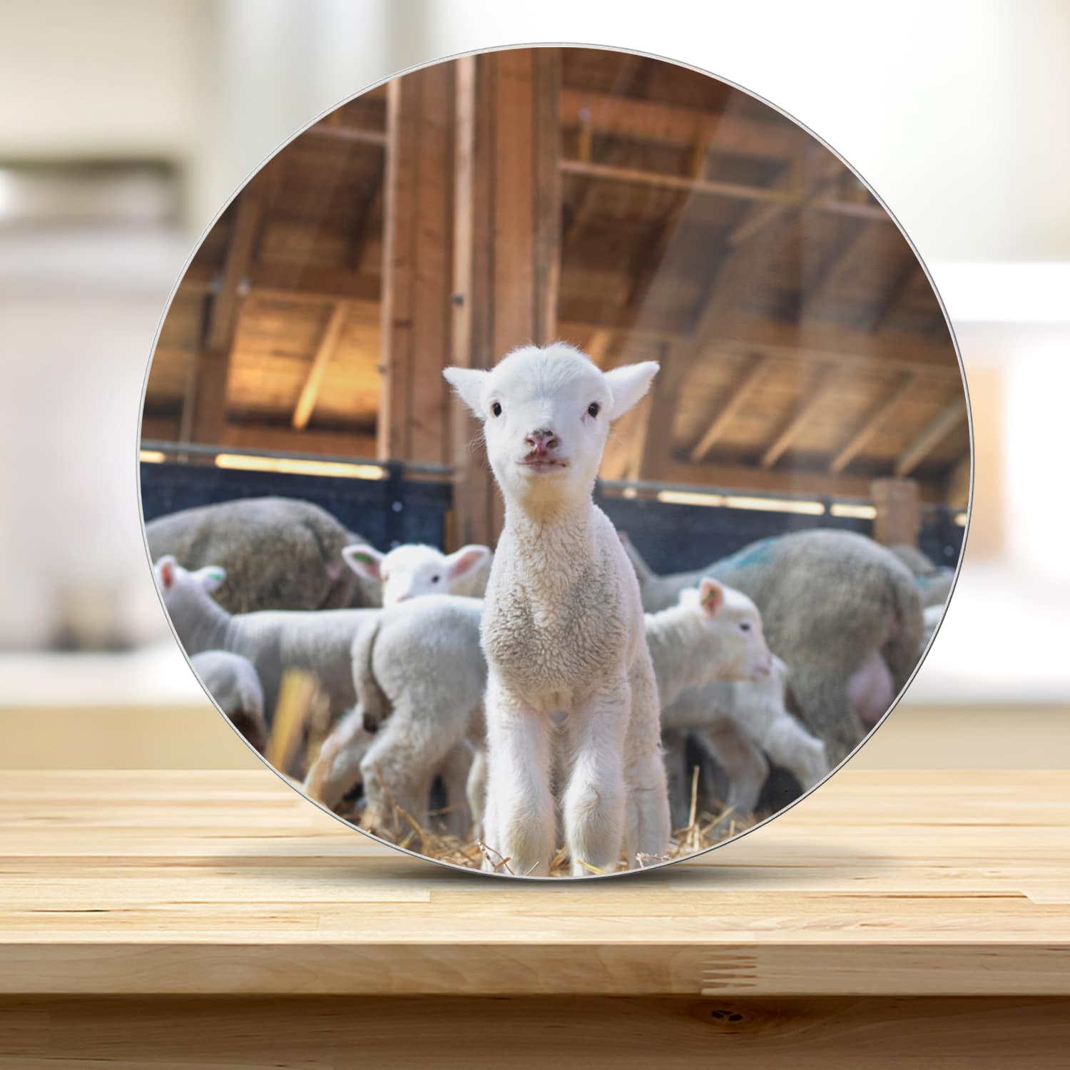 Snijplank Rond - Gehard Glas - Lammetje