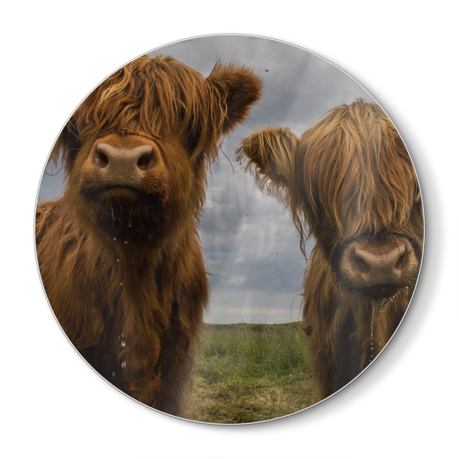 Snijplank Rond - Gehard Glas - Twee Schotse Hooglanders