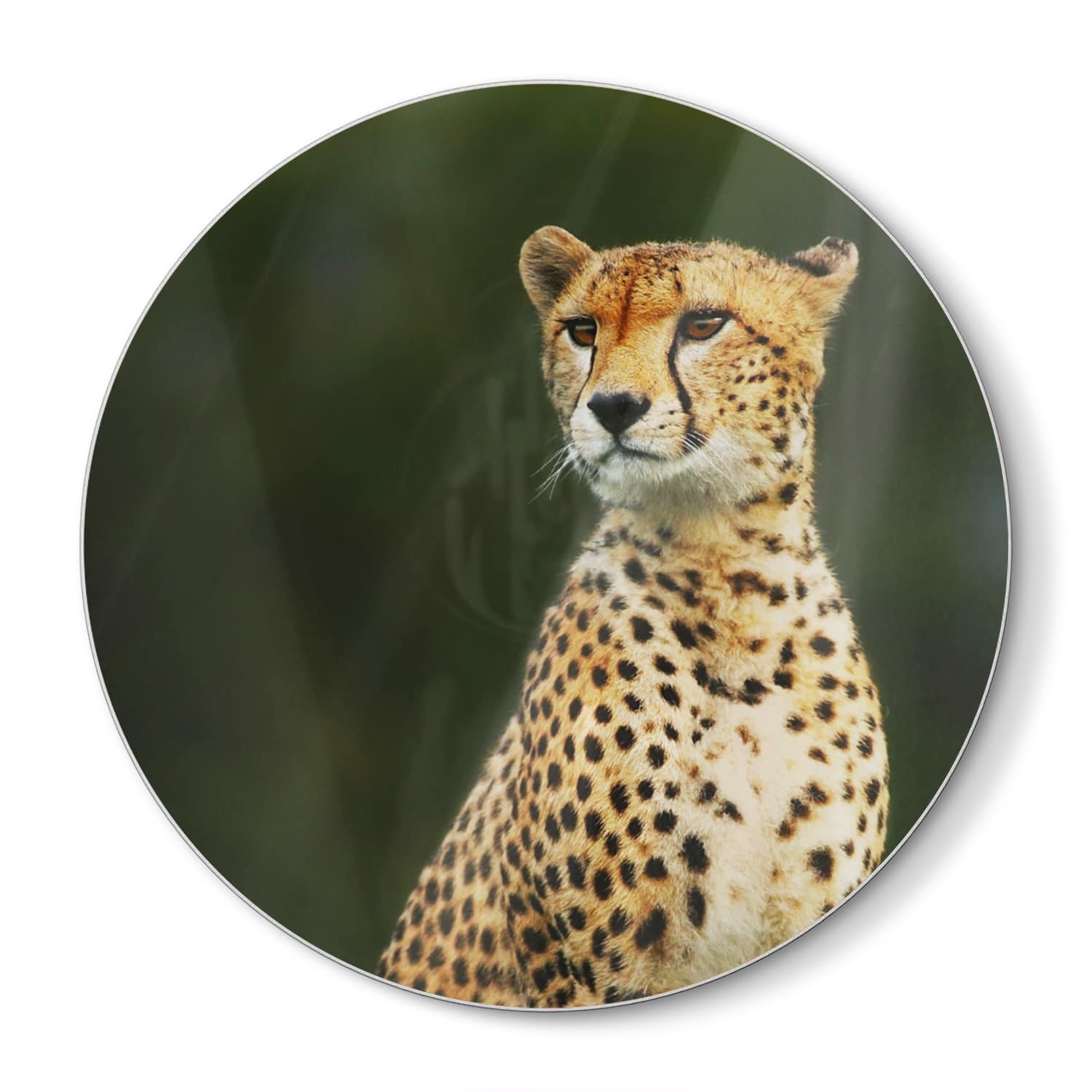 Snijplank Rond - Gehard Glas - Wilde Cheetah