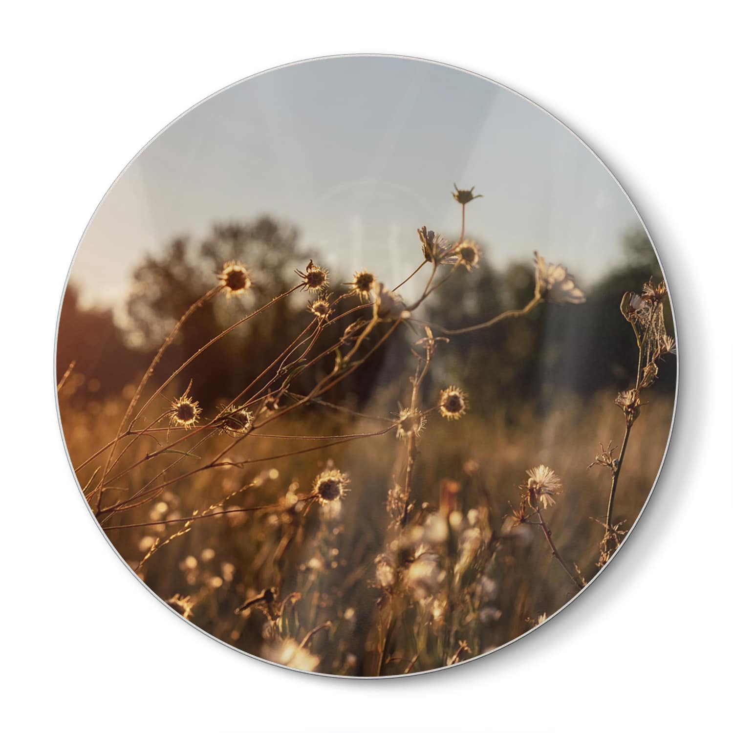 Snijplank Rond - Gehard Glas - Zonsondergang in de Weide