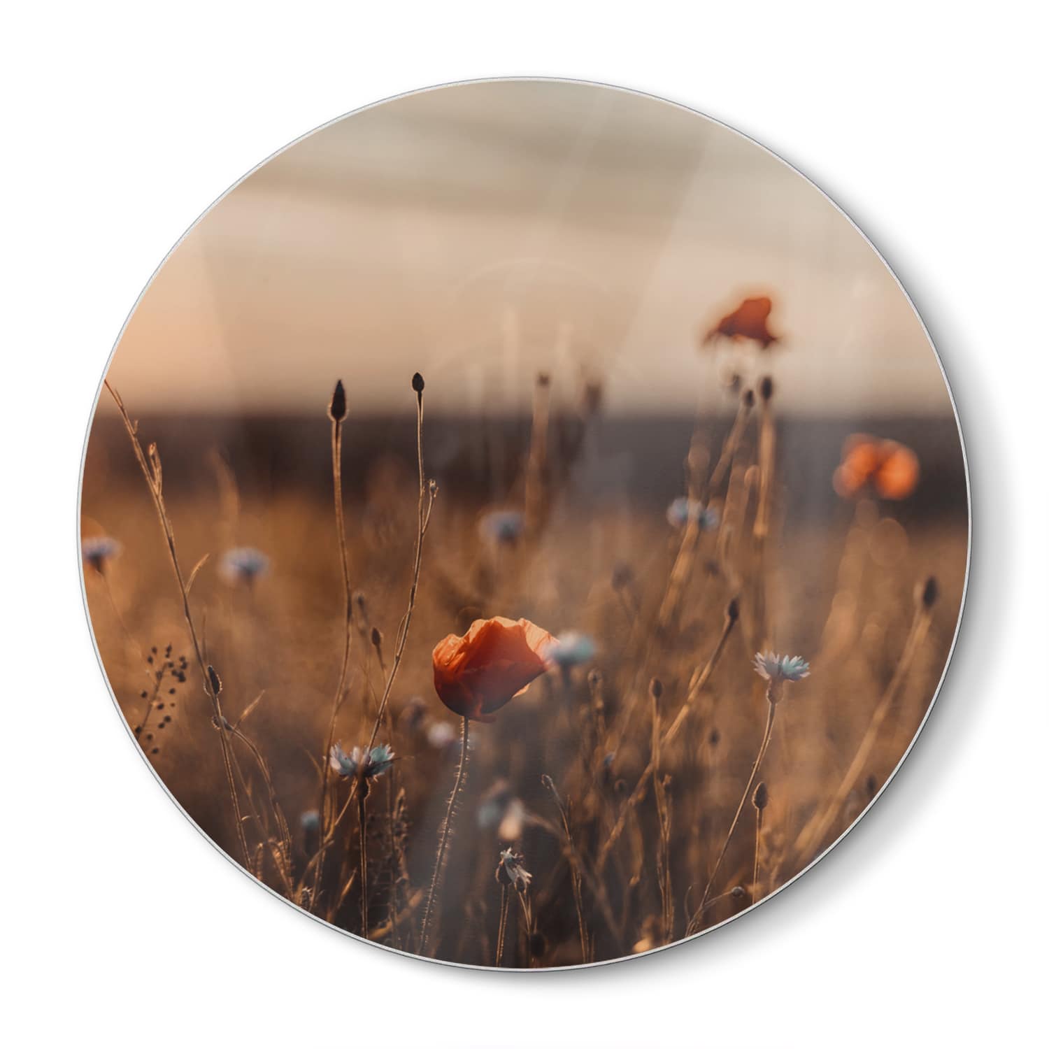 Snijplank Rond - Gehard Glas - Klaprozen in het veld