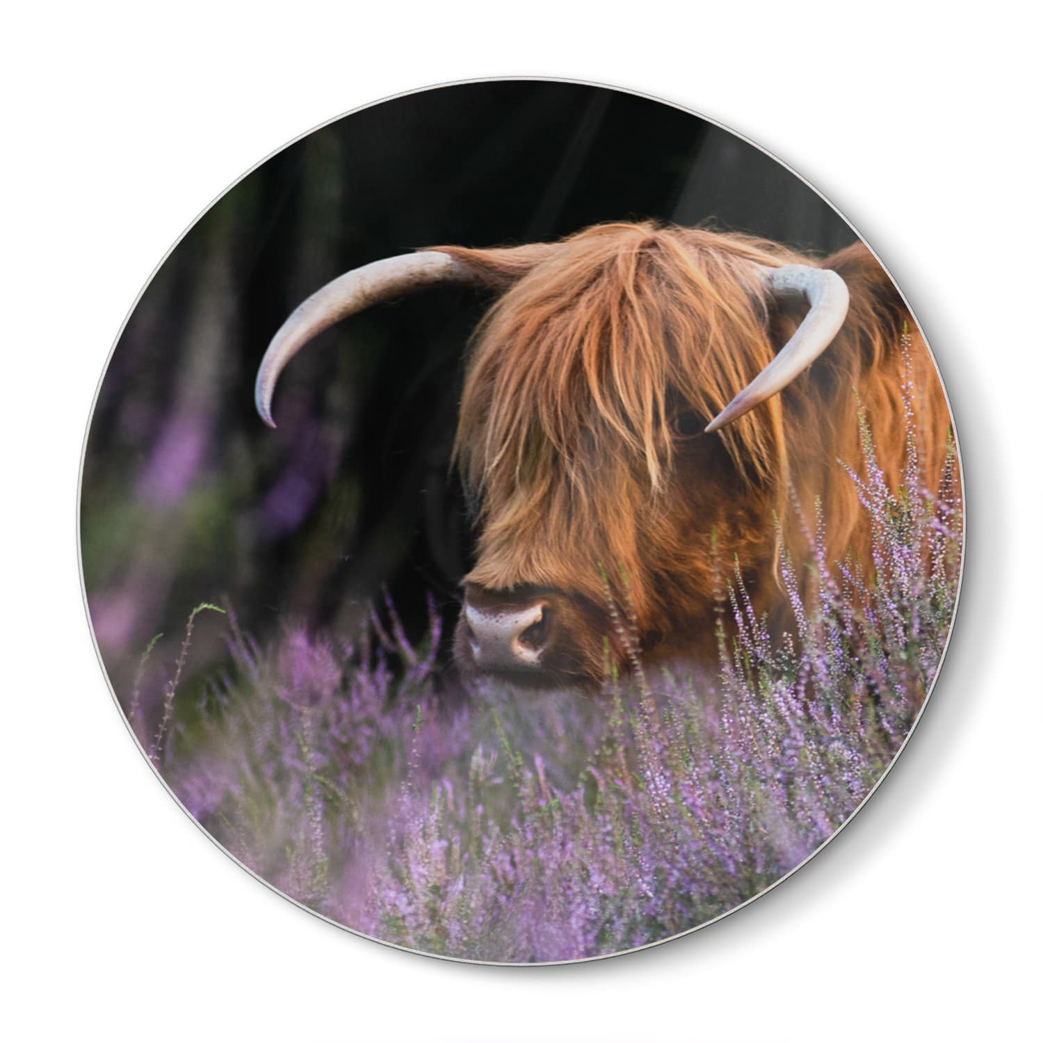 Snijplank Rond - Gehard Glas - Schotse Hooglander Tussen de Bloemen