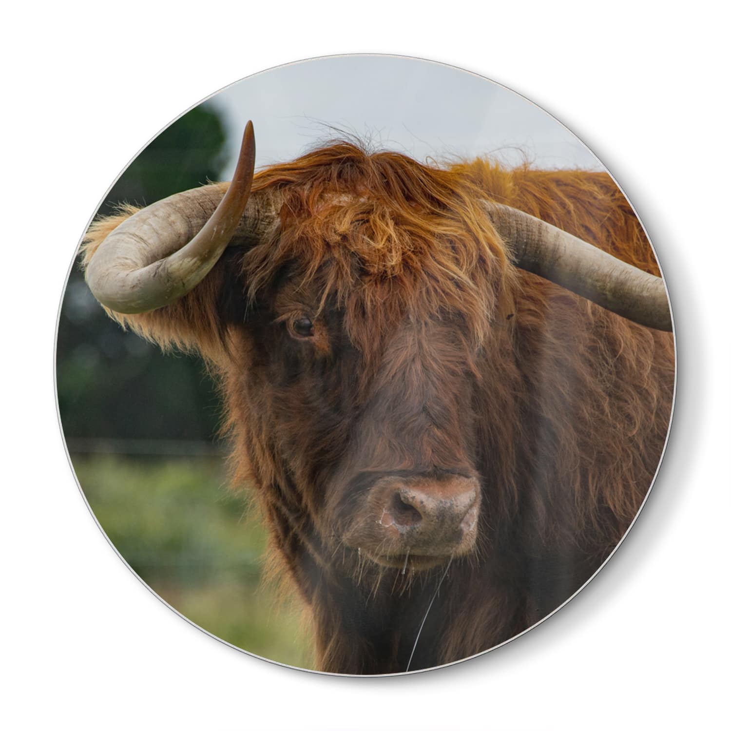 Snijplank Rond - Gehard Glas - Schotse Hooglander in de Natuur