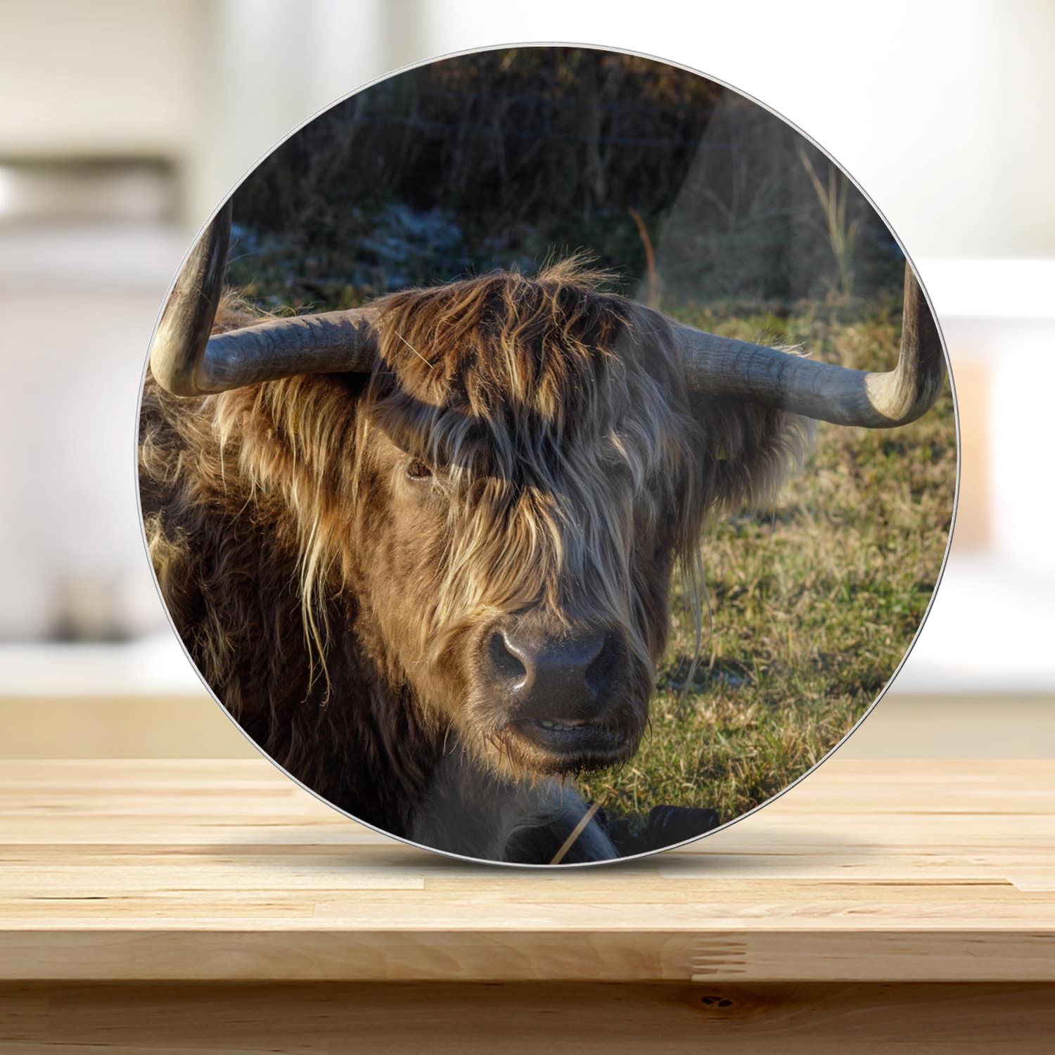 Snijplank Rond - Gehard Glas - Schotse Hooglander in de Zon