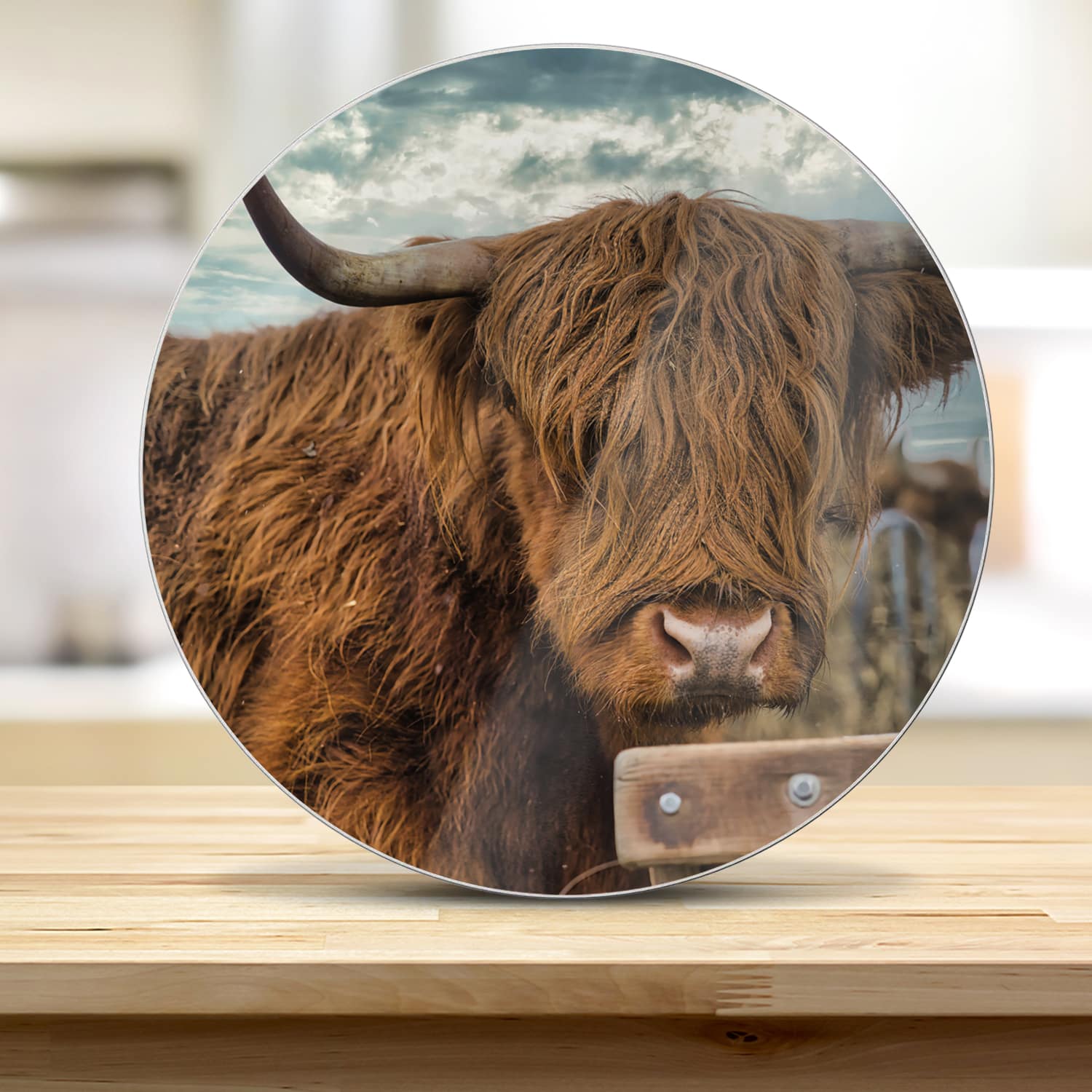 Snijplank Rond - Gehard Glas - Schotse Hooglander in de Weide