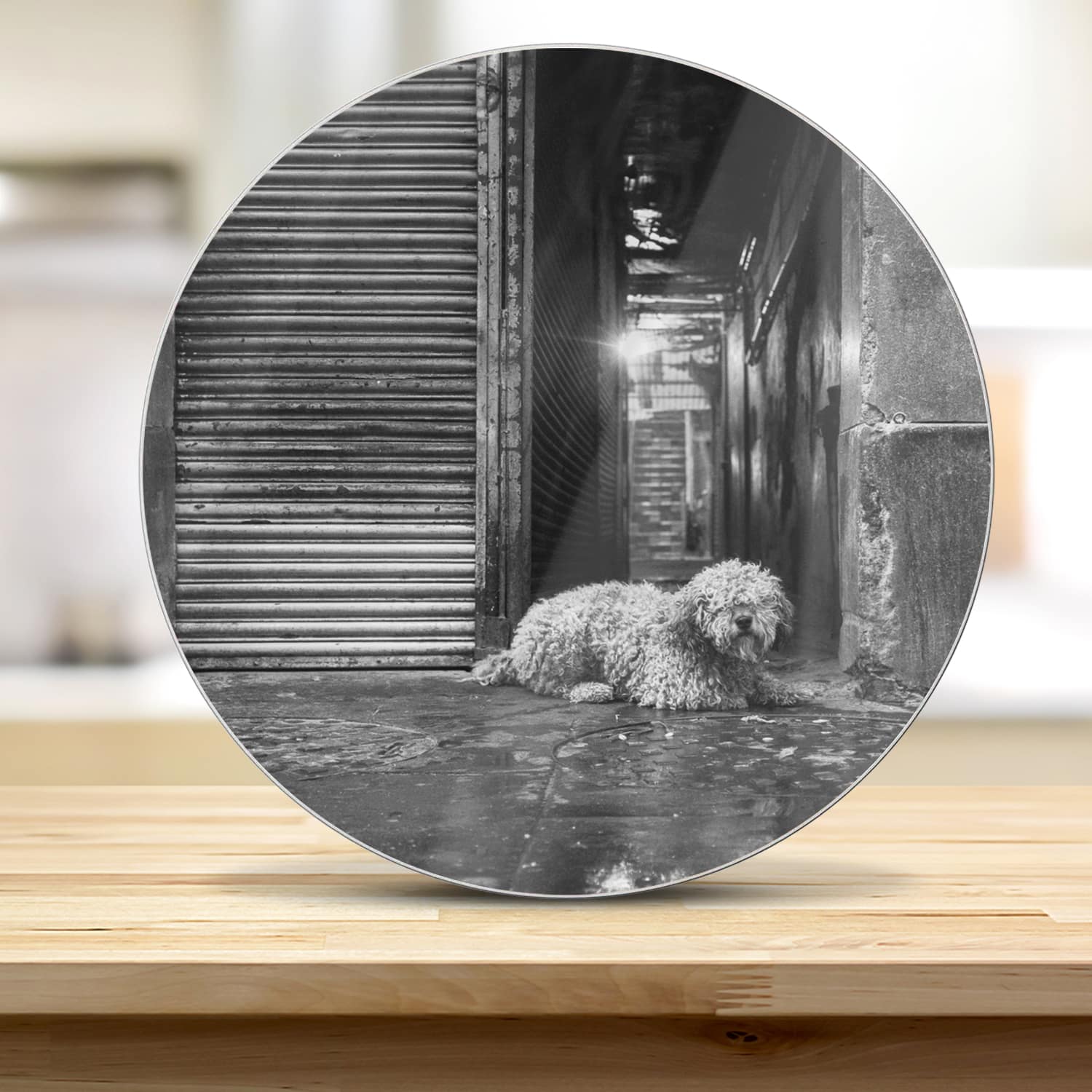 Snijplank Rond - Gehard Glas - Zwart-Wit Hond op Straat