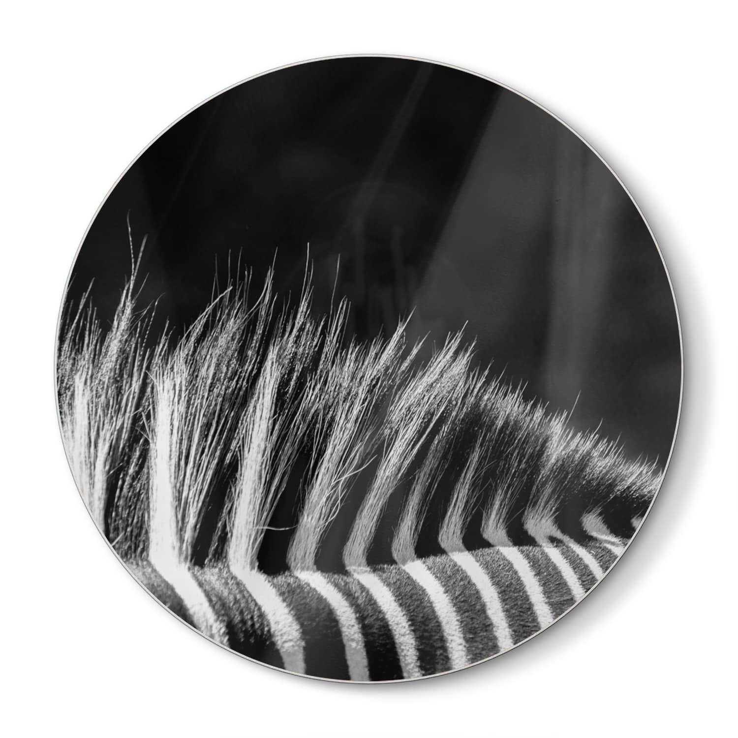 Snijplank Rond - Gehard Glas - Zwart-Wit Zebra