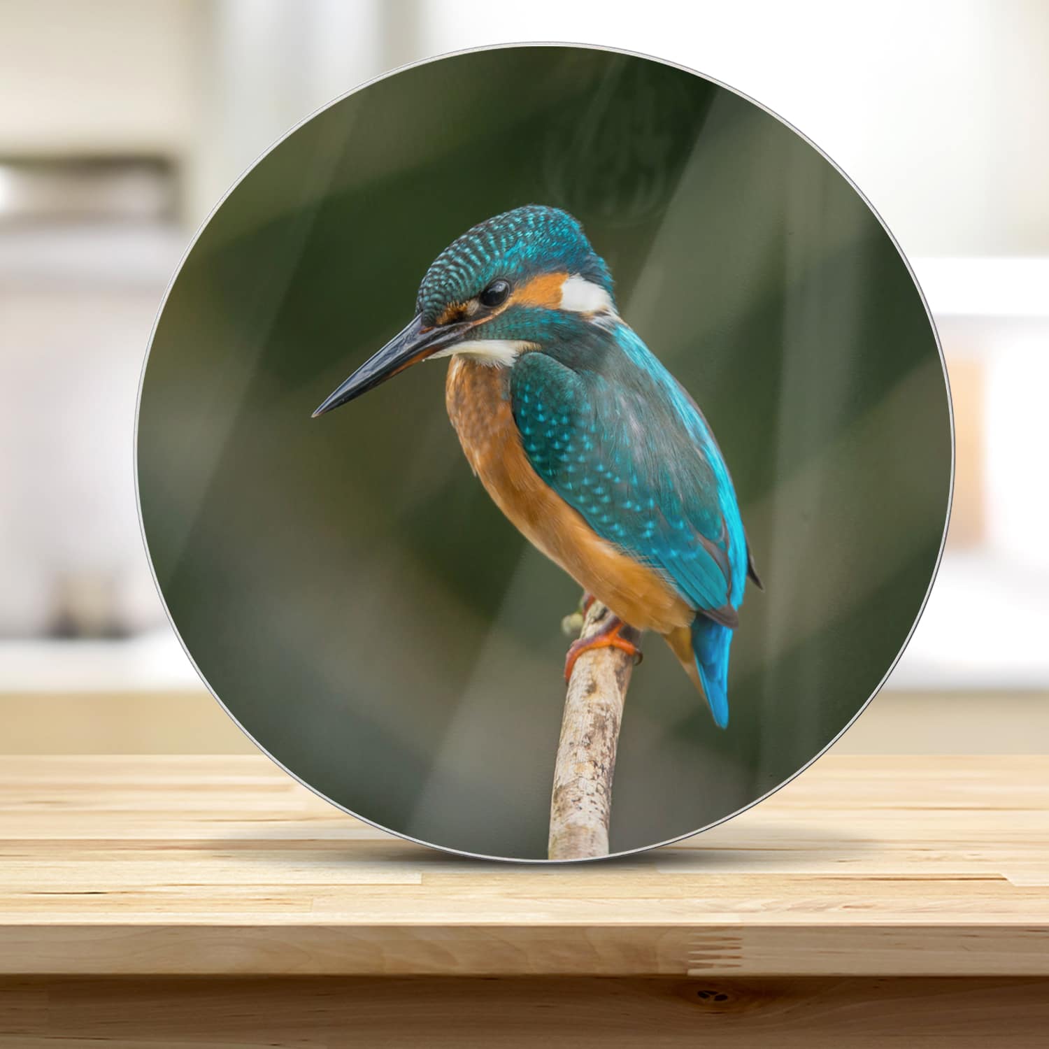 Snijplank Rond - Gehard Glas - Kleurrijke ijsvogel